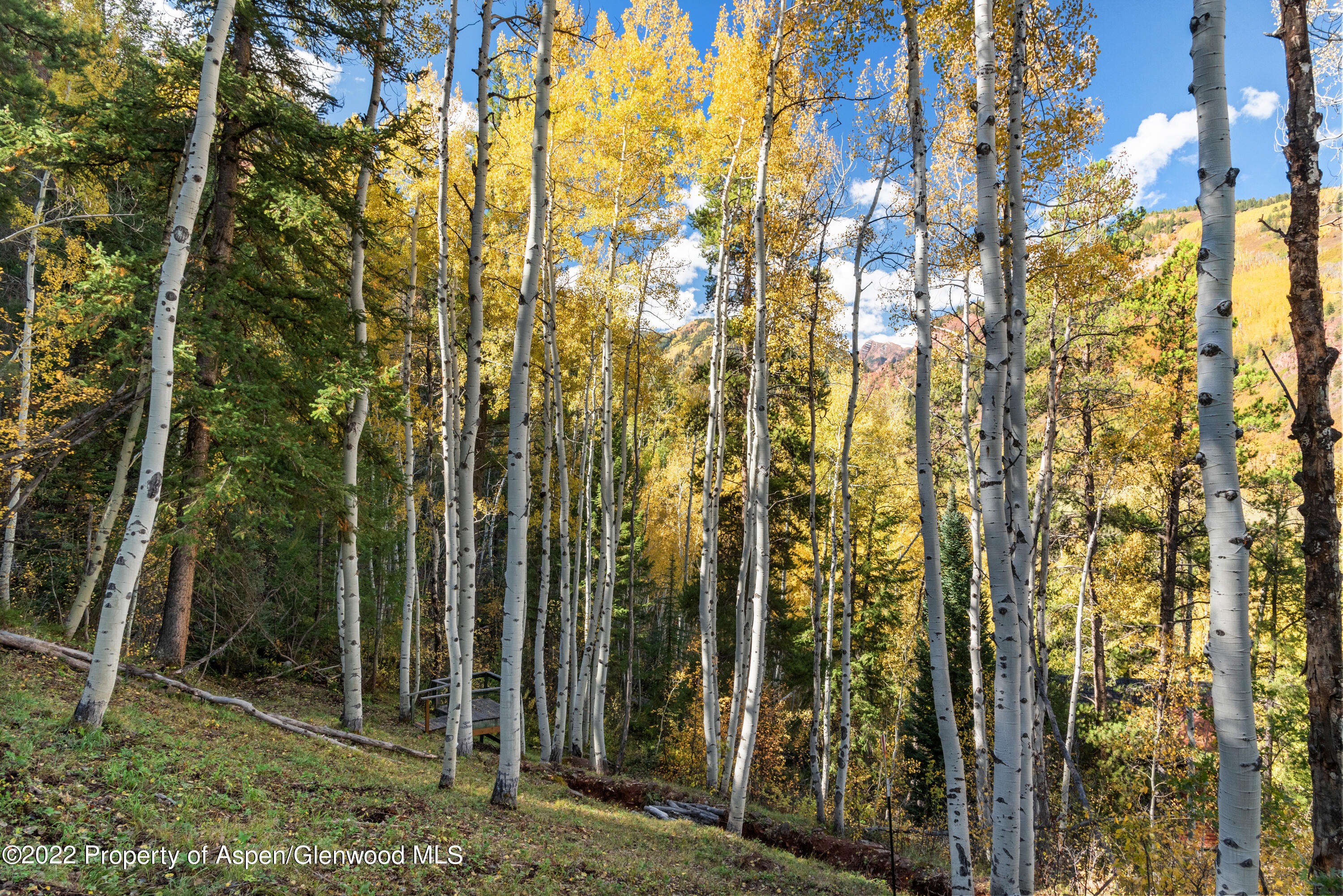 Tbd Exhibition Lane Aspen CO 81611