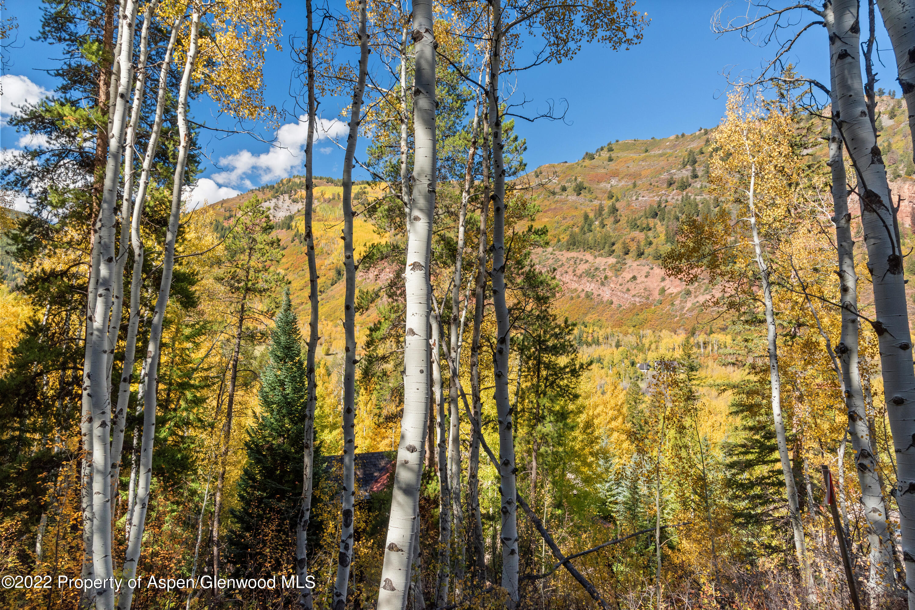 Tbd Exhibition Lane Aspen CO 81611