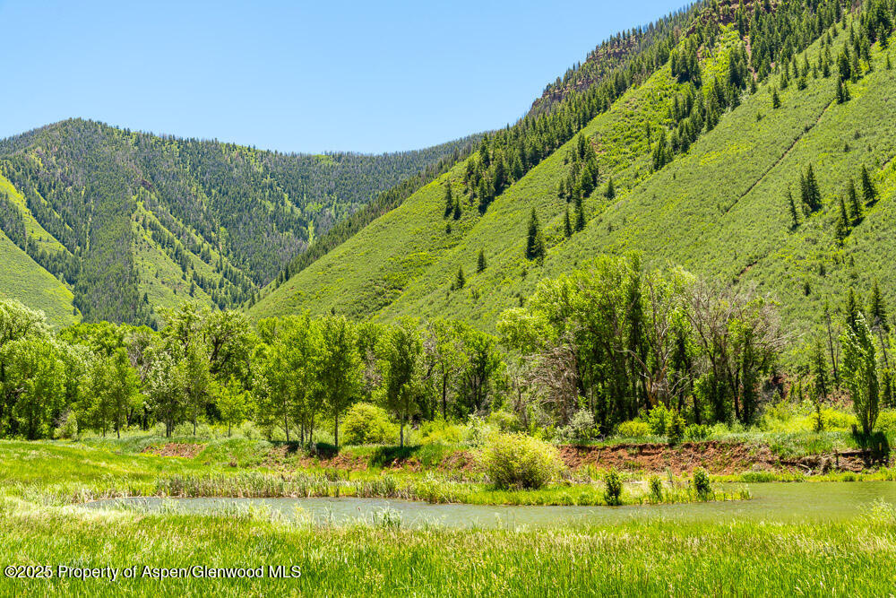 Tbd Frying Pan Road Basalt CO 81621