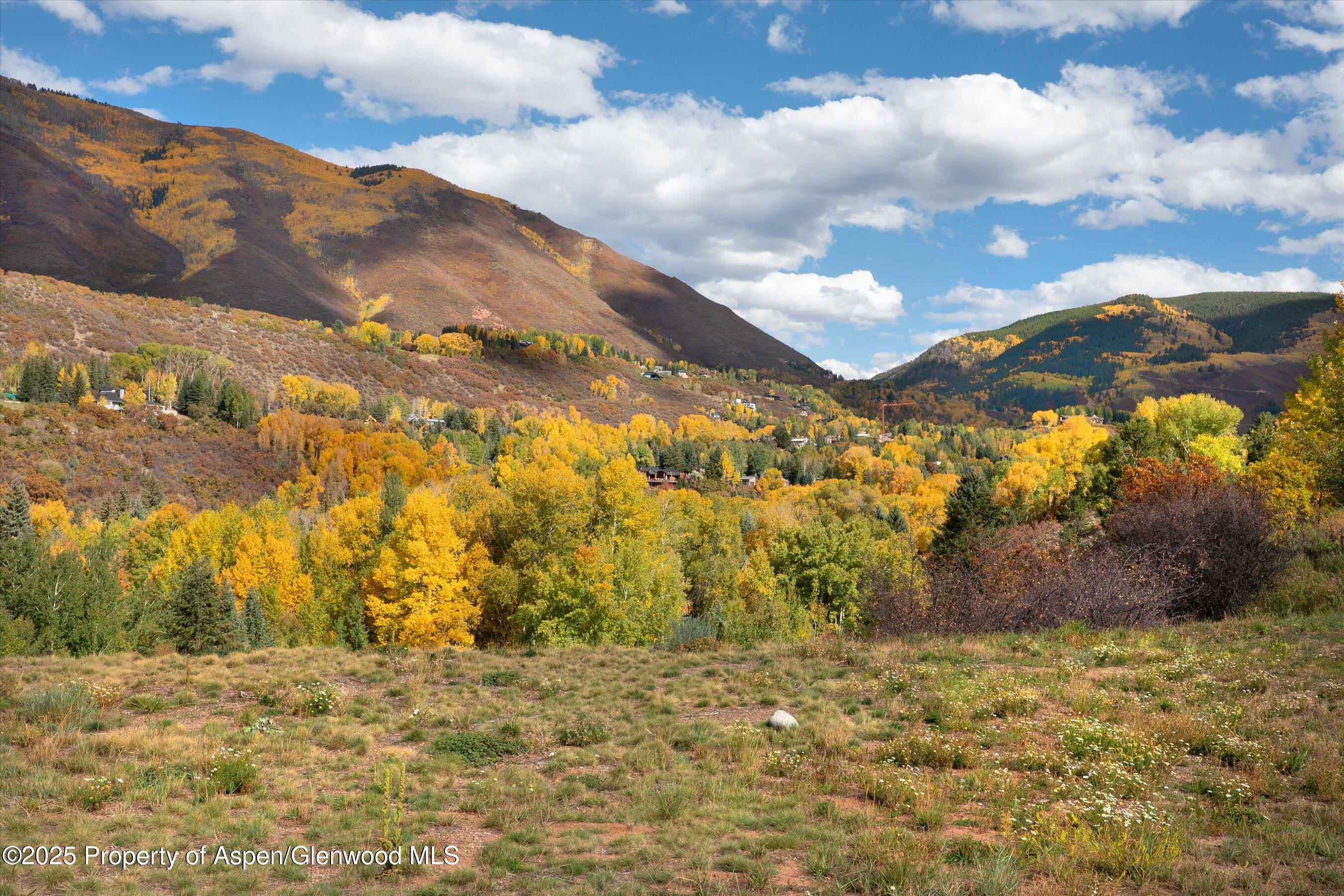 1050 Cemetery Lane Aspen CO 81611