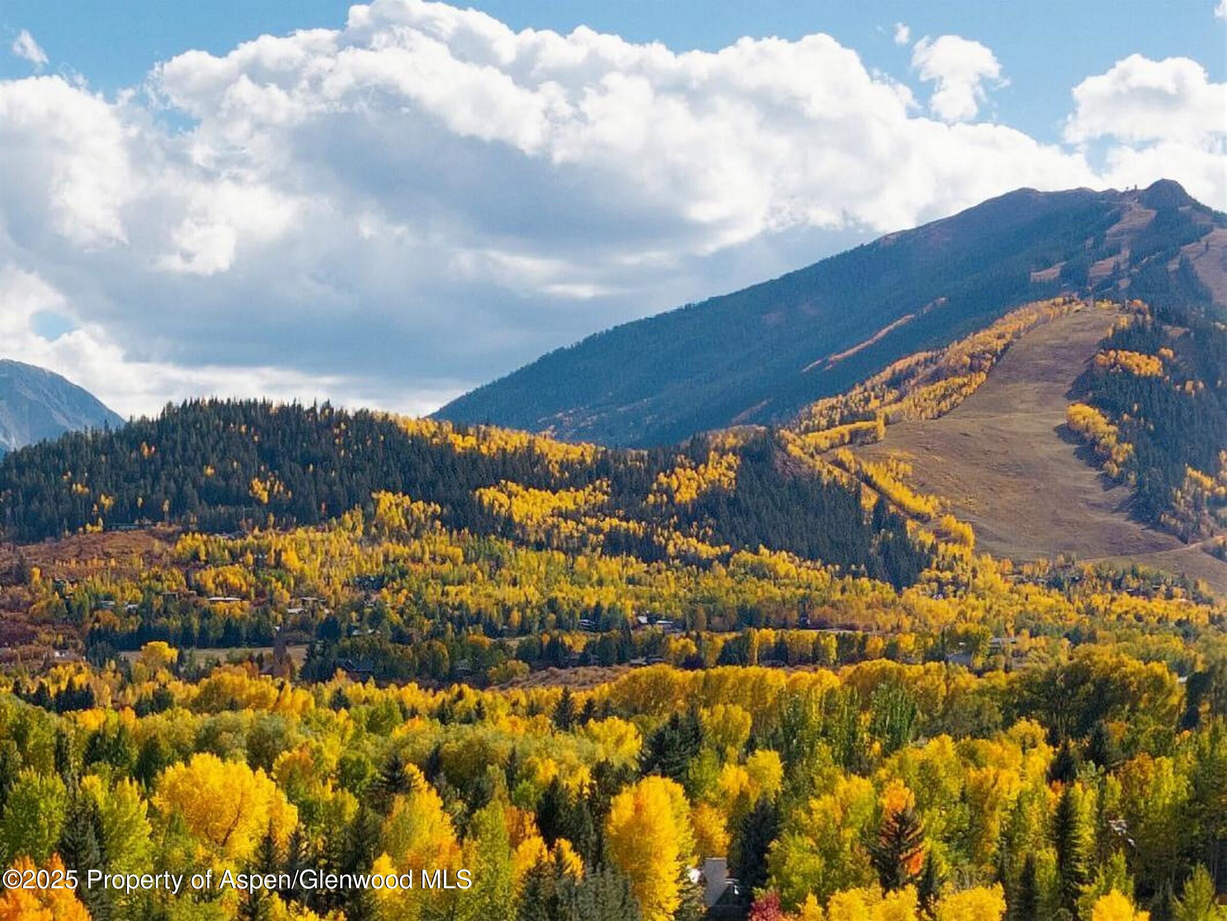 1050 Cemetery Lane Aspen CO 81611