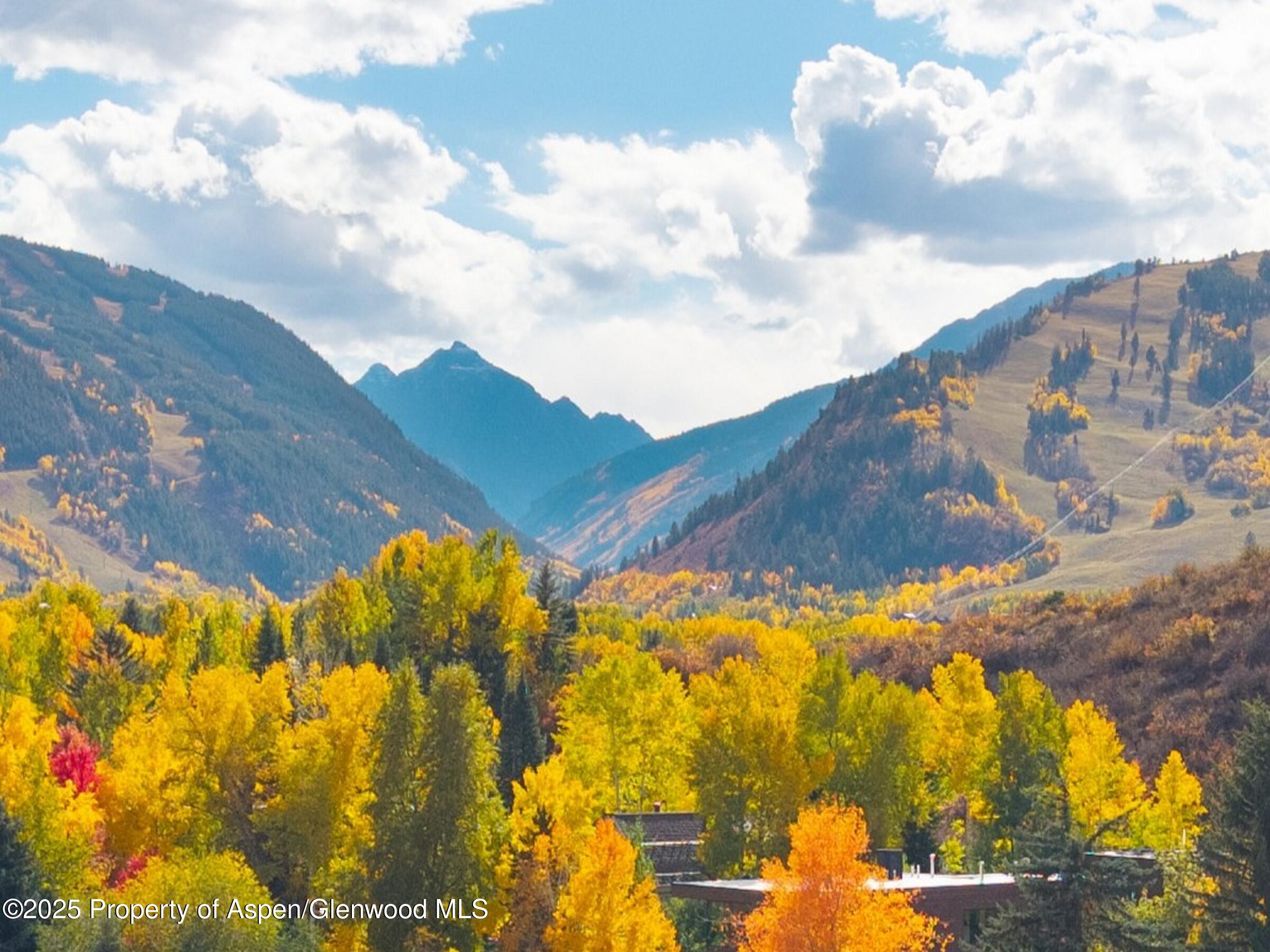 1050 Cemetery Lane Aspen CO 81611