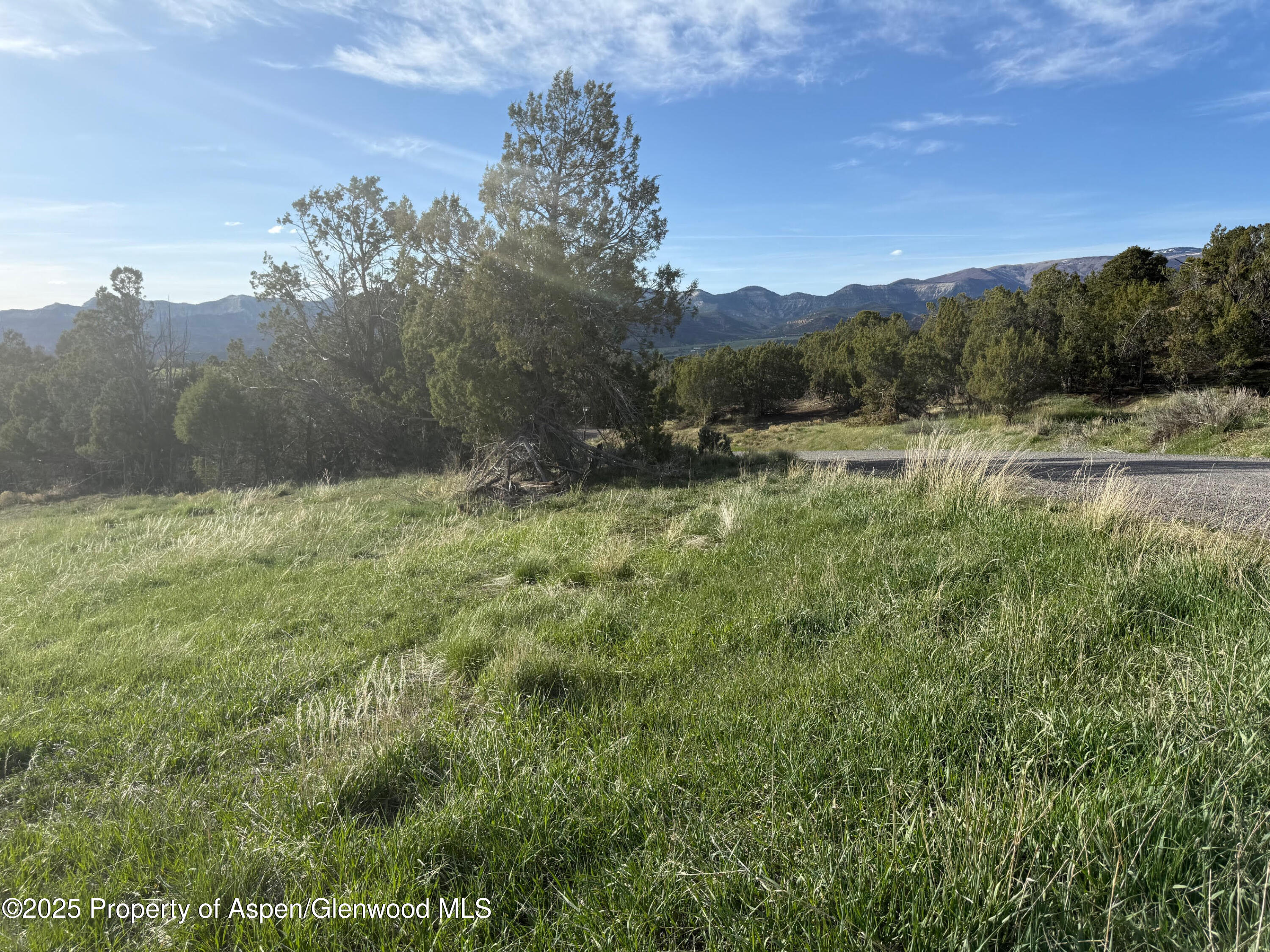 14495 Scott Loop Collbran CO 81624