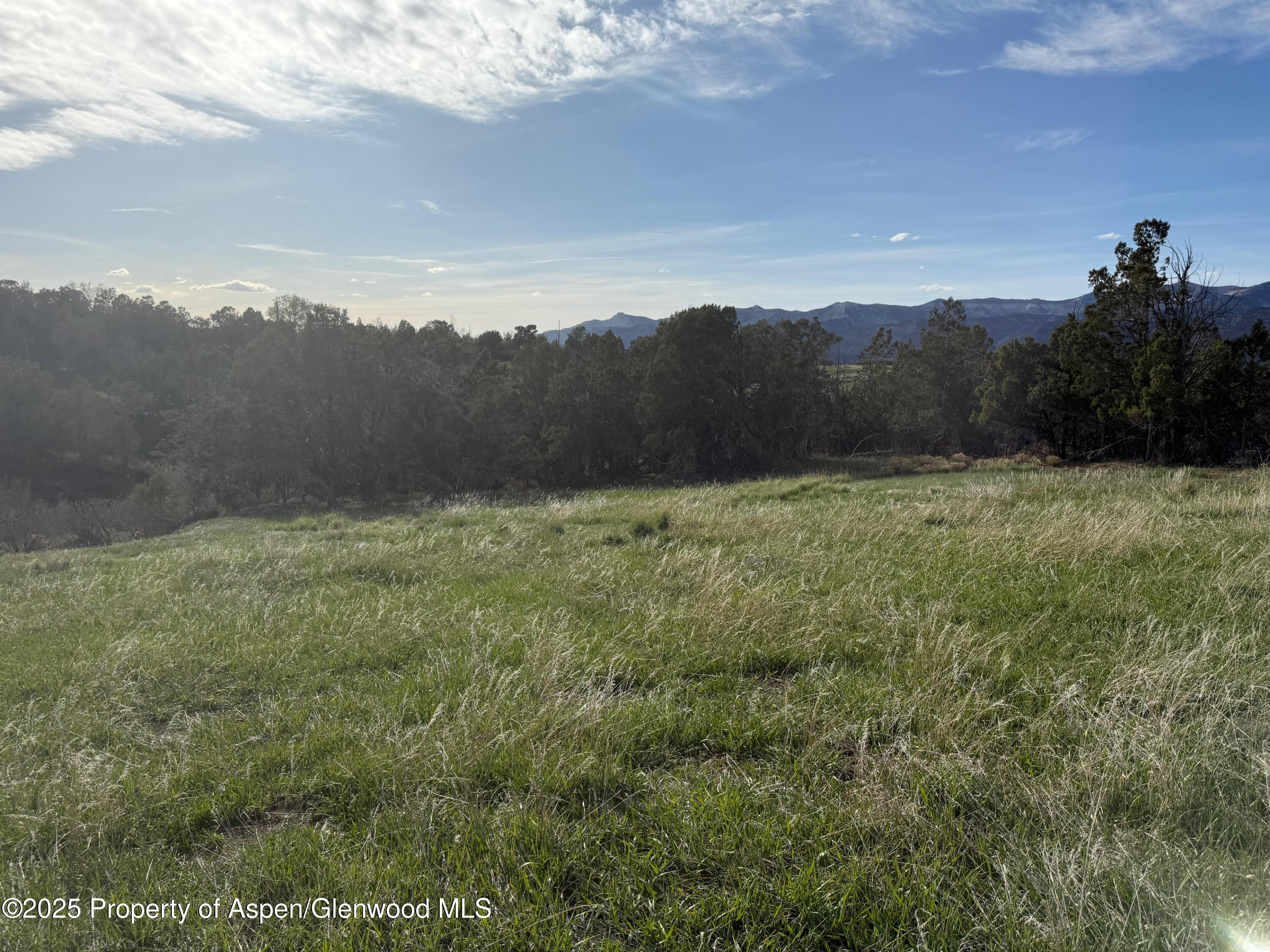 14495 Scott Loop Collbran CO 81624