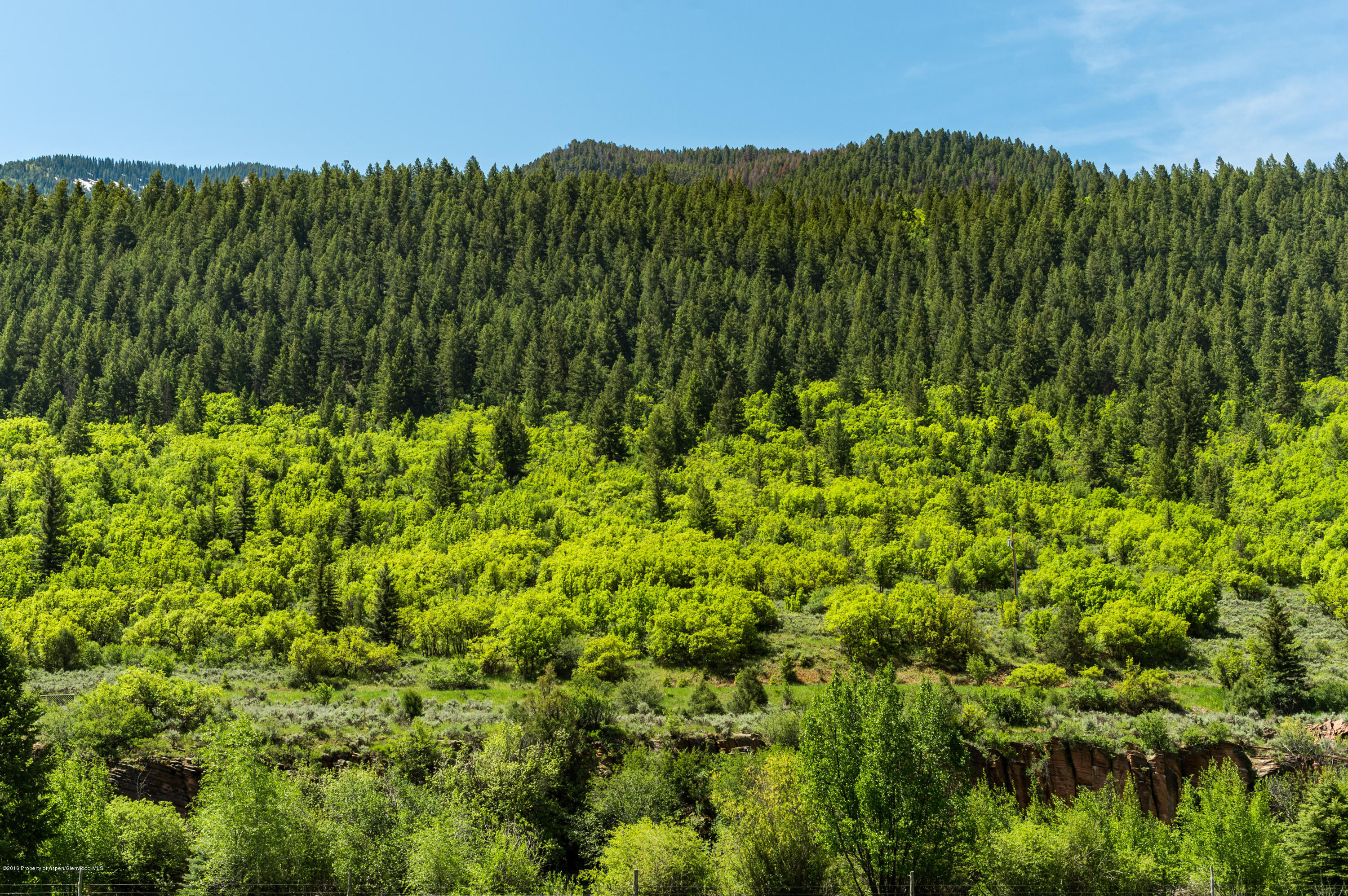 54 Spruce Road Basalt CO 81621