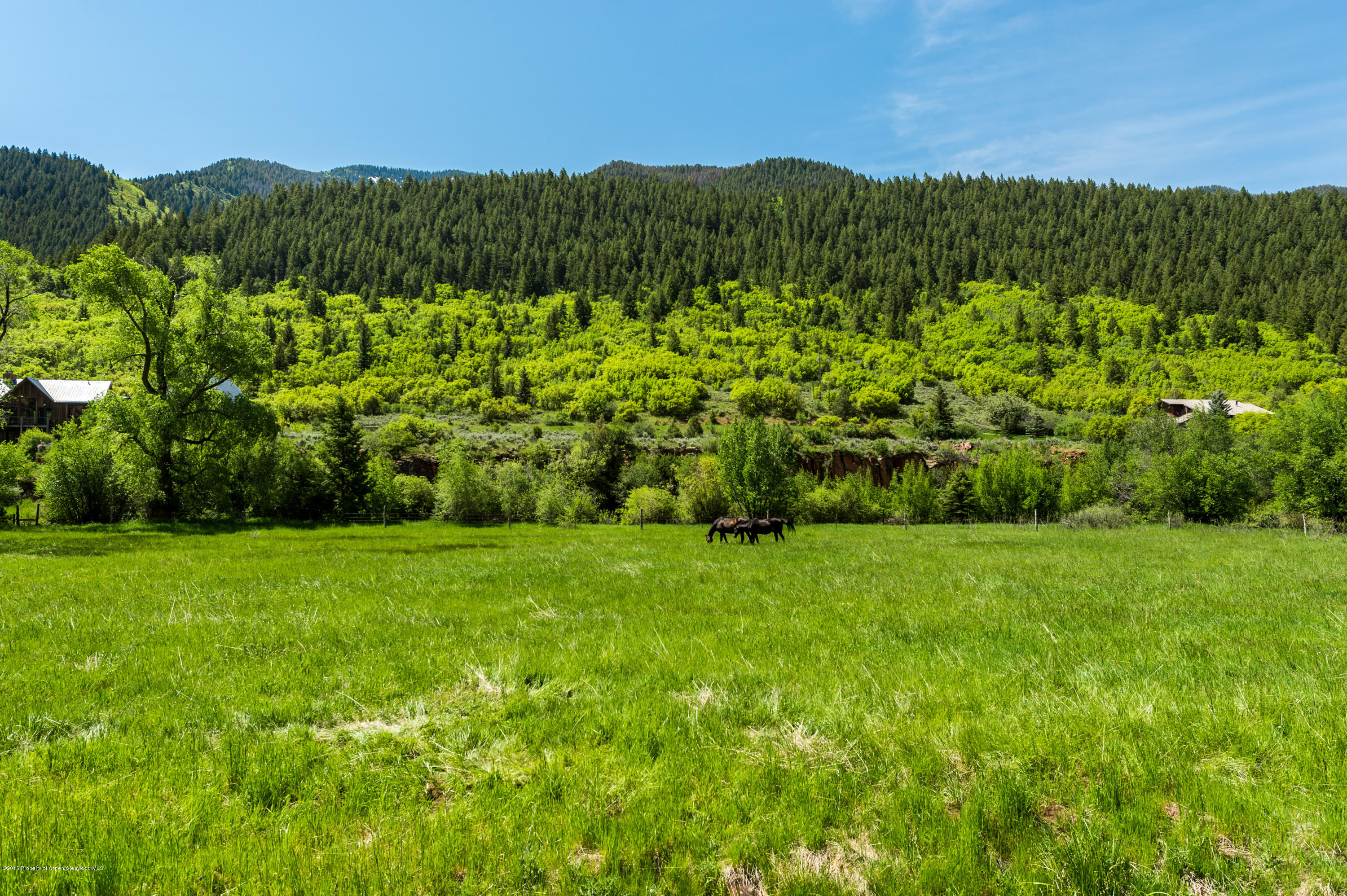 54 Spruce Road Basalt CO 81621