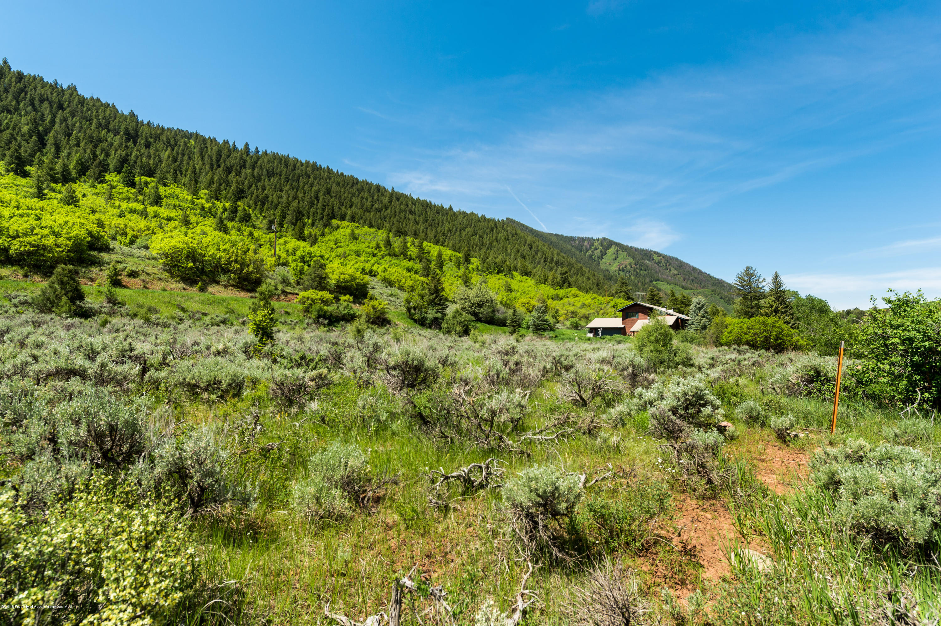 54 Spruce Road Basalt CO 81621