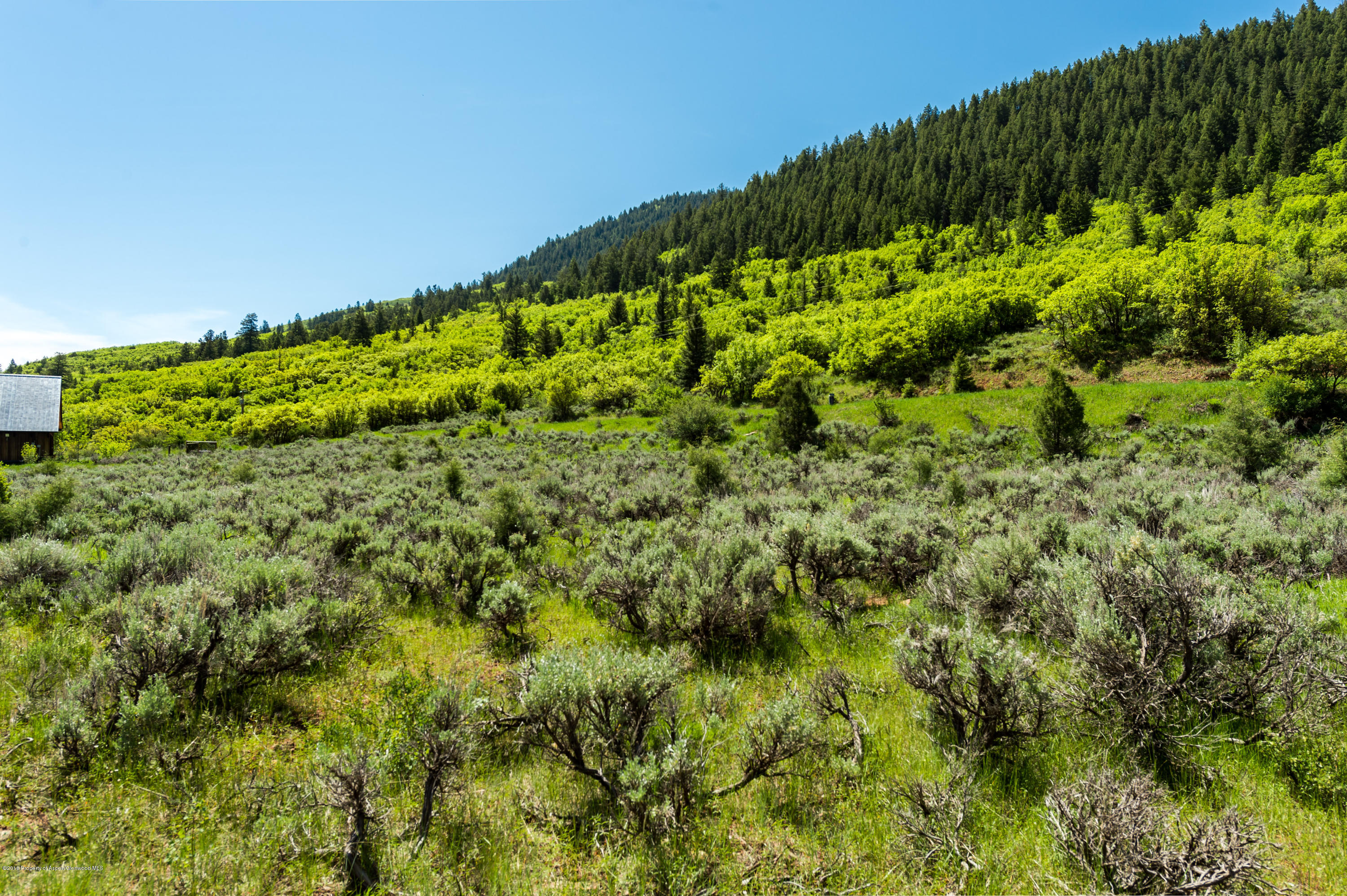 54 Spruce Road Basalt CO 81621