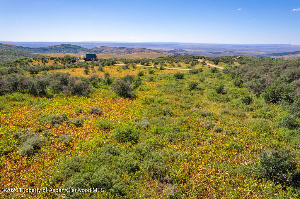 1750 Fiddleneck Drive Lot 44 Craig CO 81625