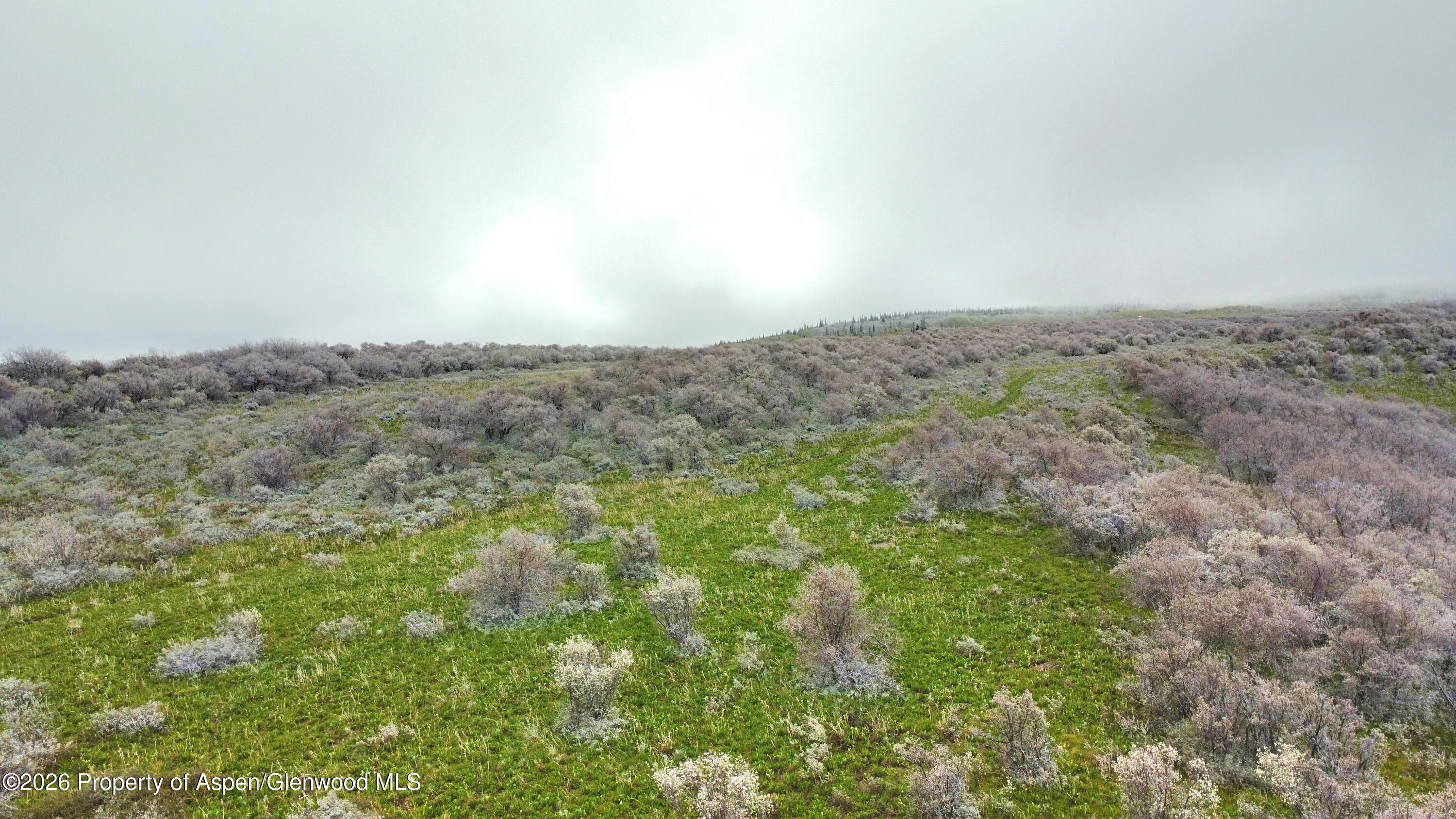 1750 Fiddleneck Drive Lot 44 Craig CO 81625
