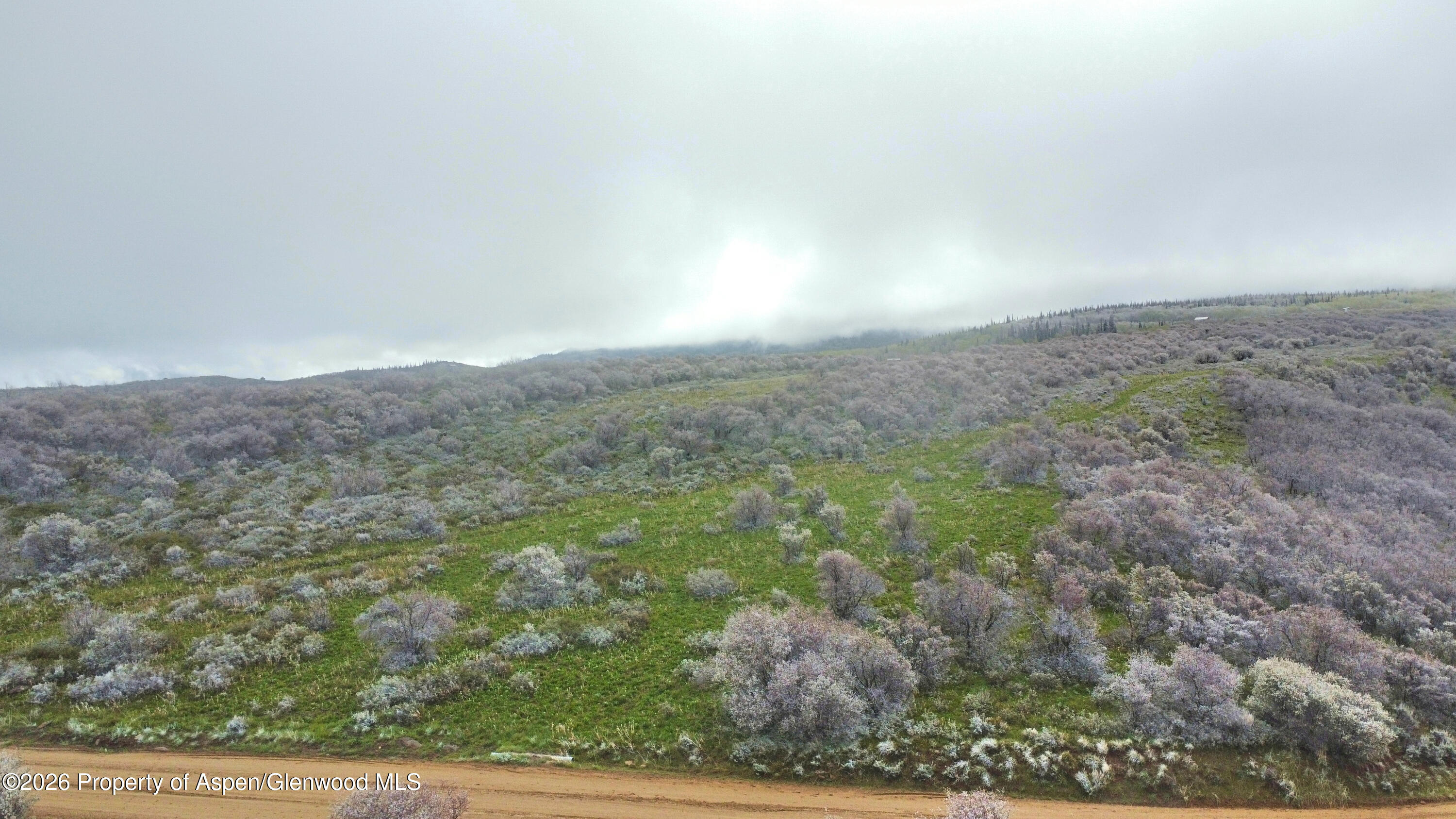 1750 Fiddleneck Drive Lot 44 Craig CO 81625