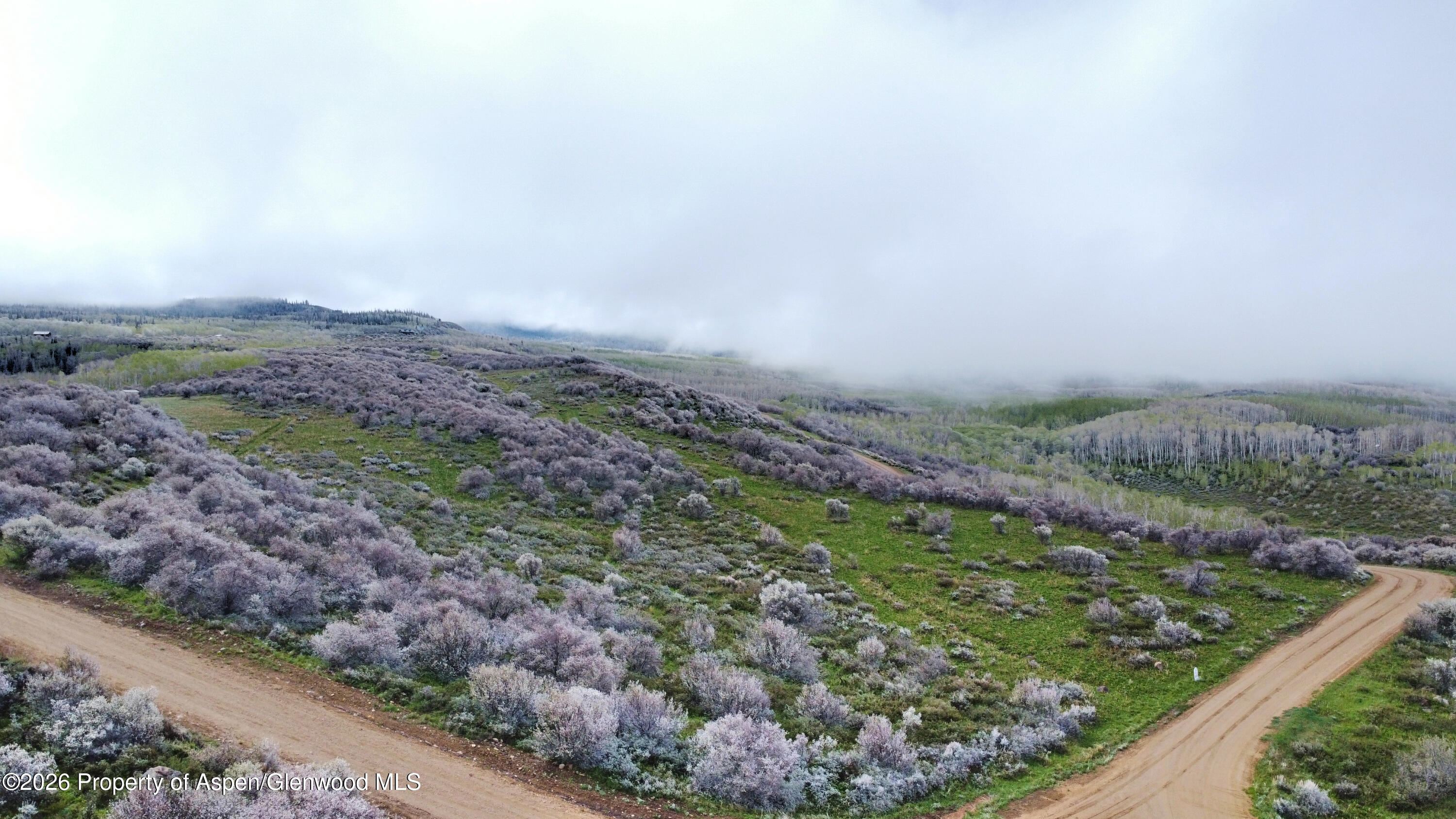 1750 Fiddleneck Drive Lot 44 Craig CO 81625