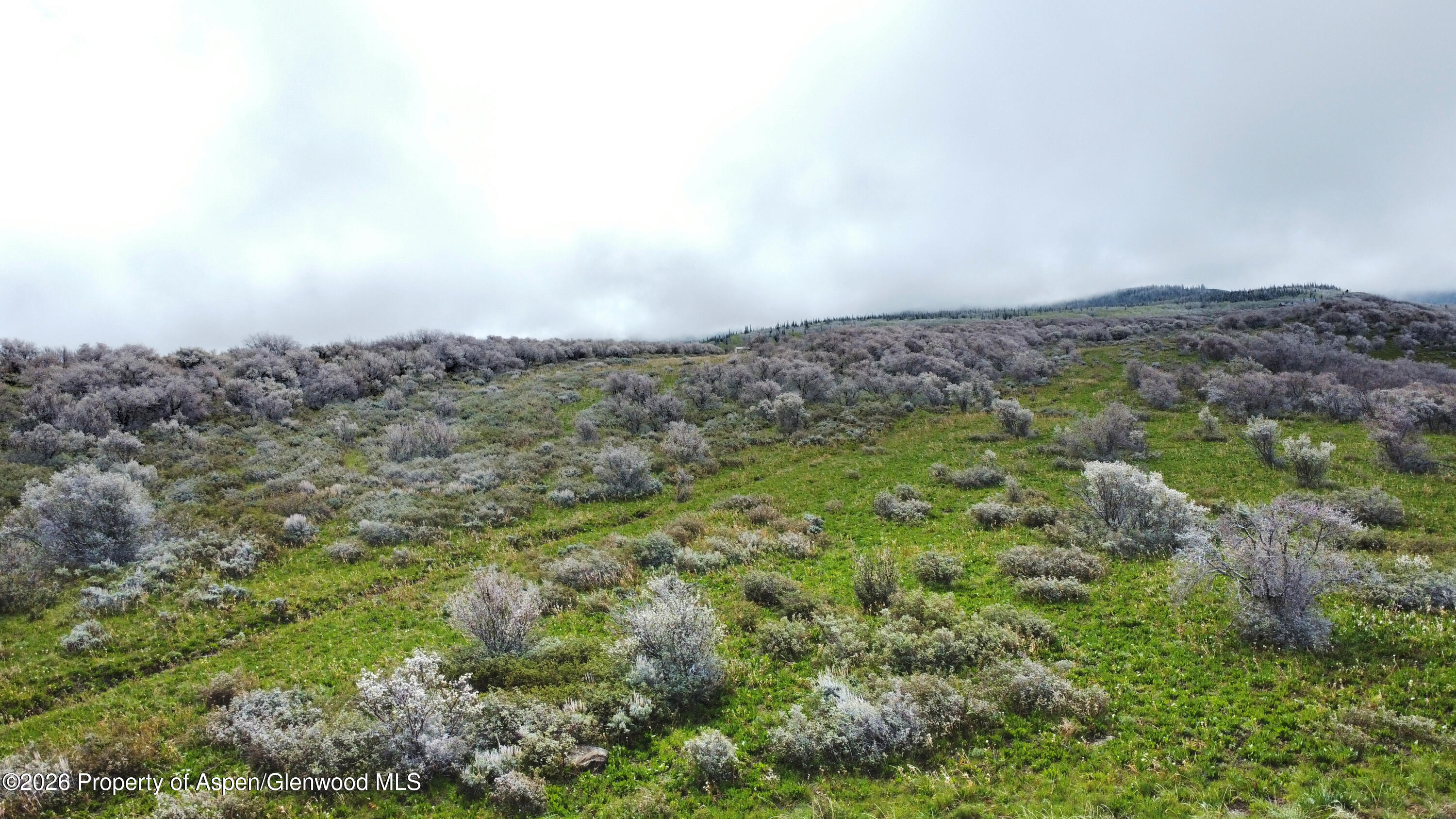 1750 Fiddleneck Drive Lot 44 Craig CO 81625