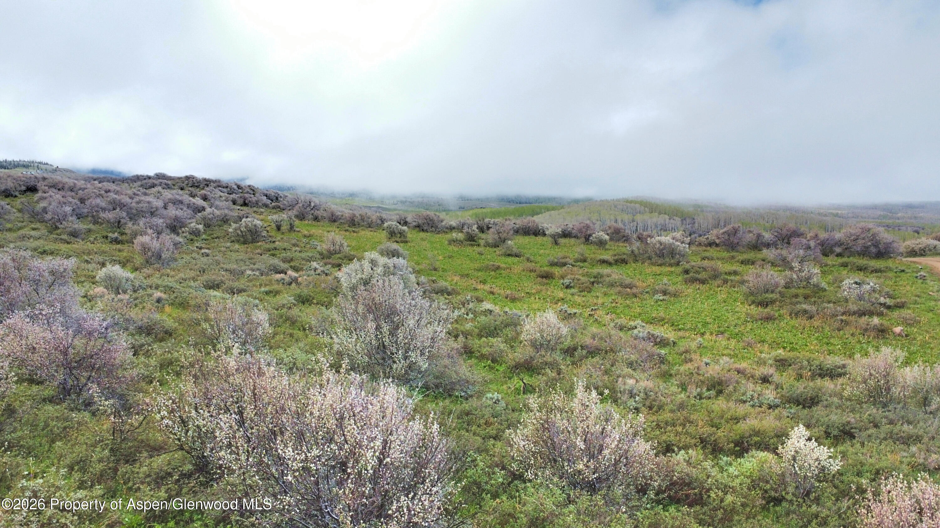 1750 Fiddleneck Drive Lot 44 Craig CO 81625