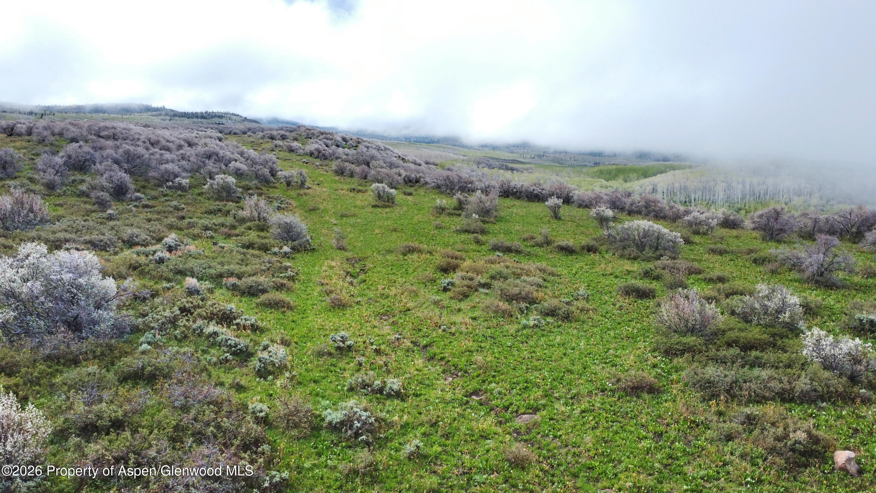 1750 Fiddleneck Drive Lot 44 Craig CO 81625
