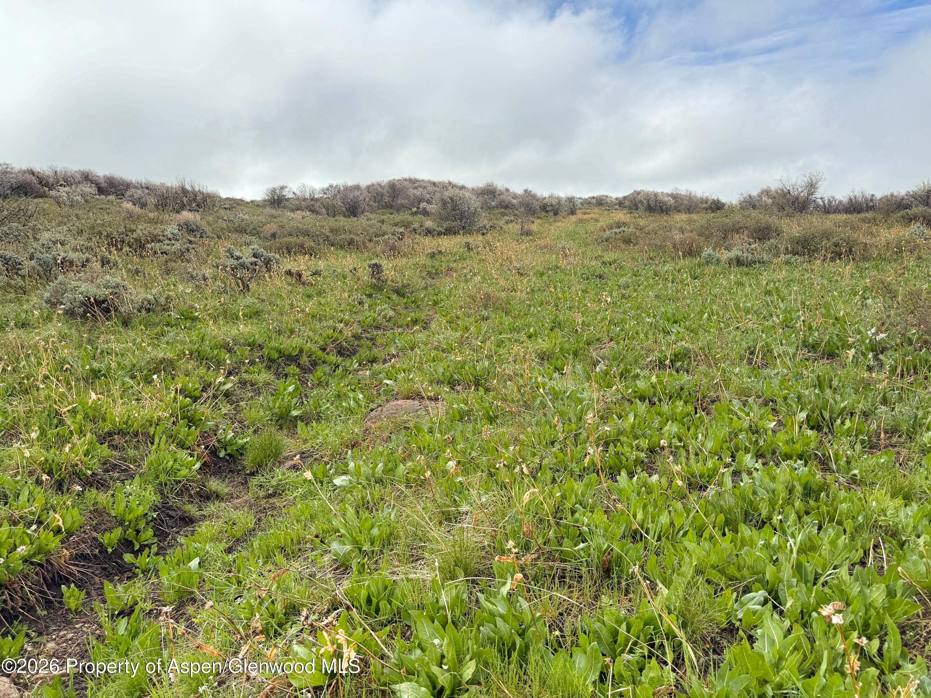 1750 Fiddleneck Drive Lot 44 Craig CO 81625