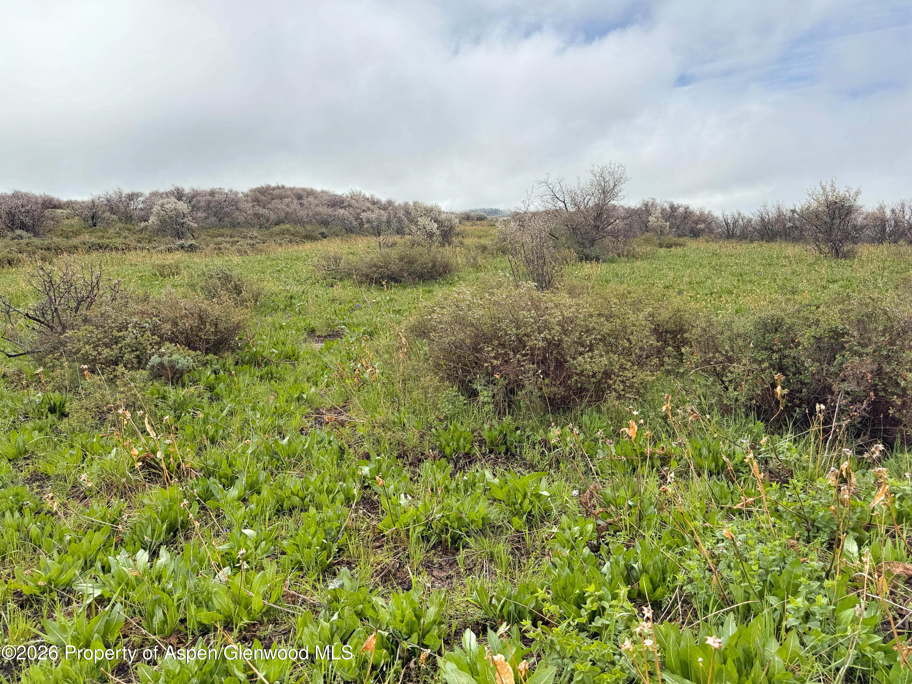 1750 Fiddleneck Drive Lot 44 Craig CO 81625
