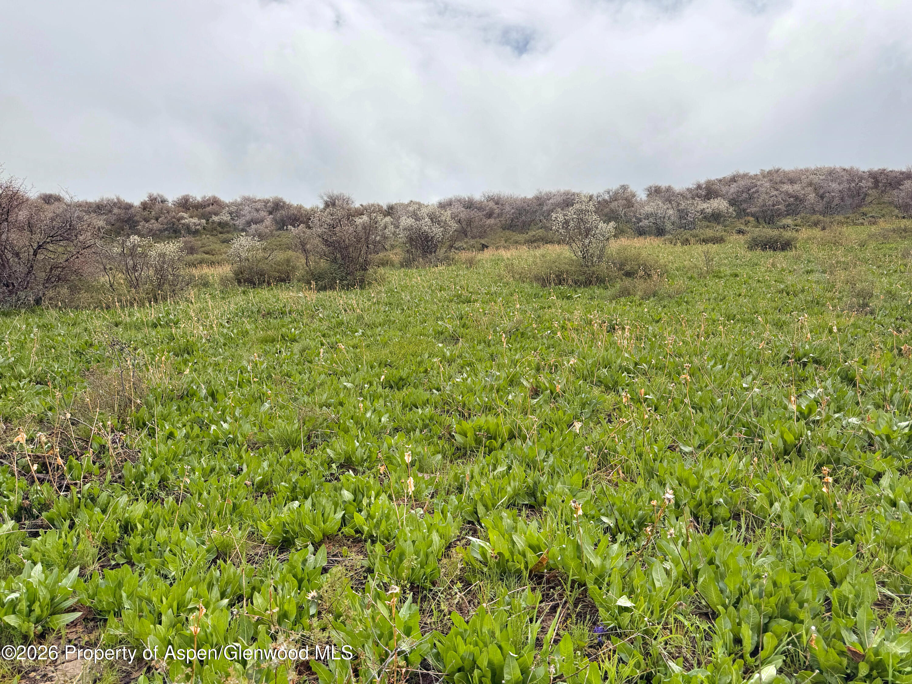 1750 Fiddleneck Drive Lot 44 Craig CO 81625