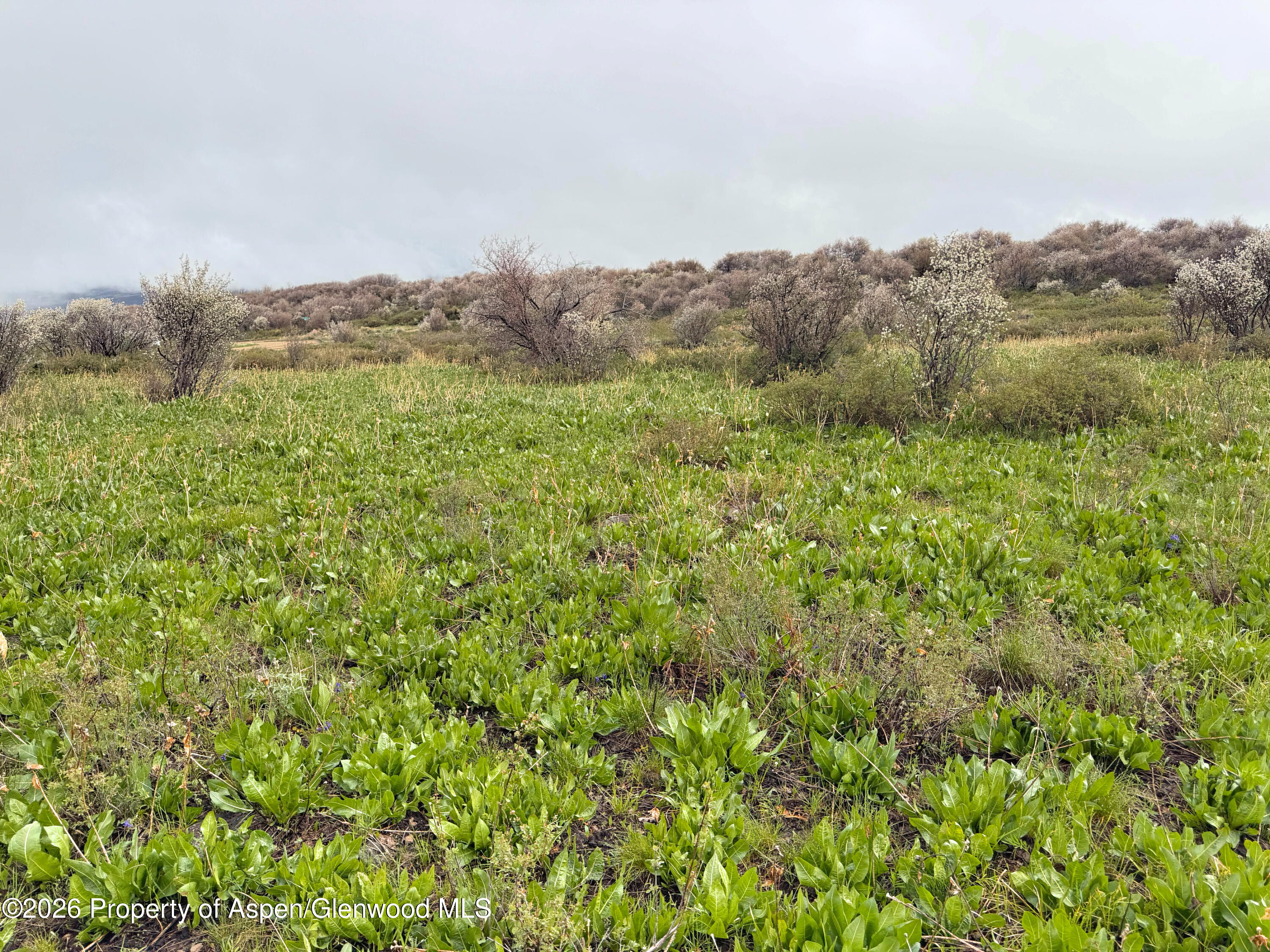 1750 Fiddleneck Drive Lot 44 Craig CO 81625