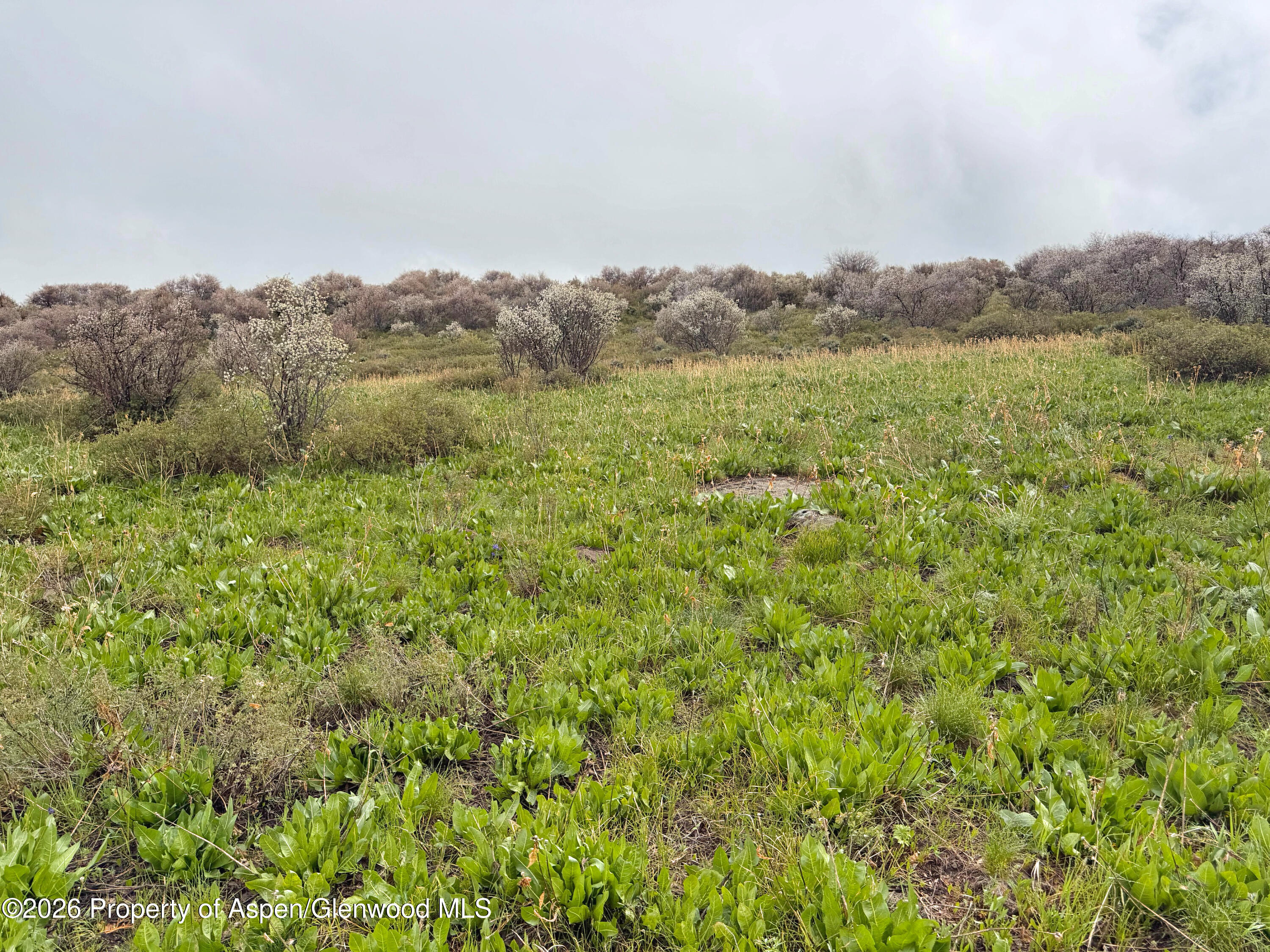 1750 Fiddleneck Drive Lot 44 Craig CO 81625