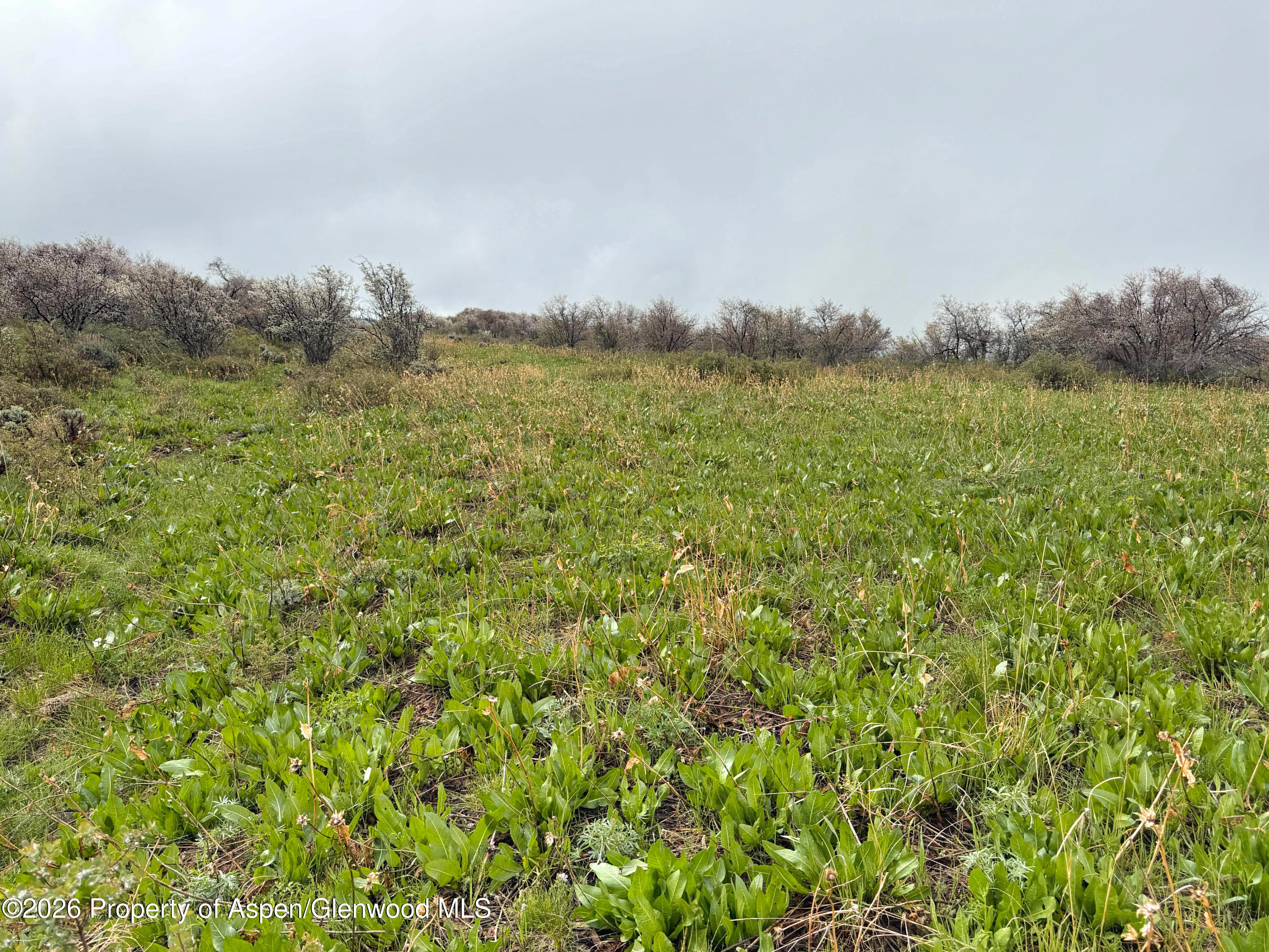 1750 Fiddleneck Drive Lot 44 Craig CO 81625