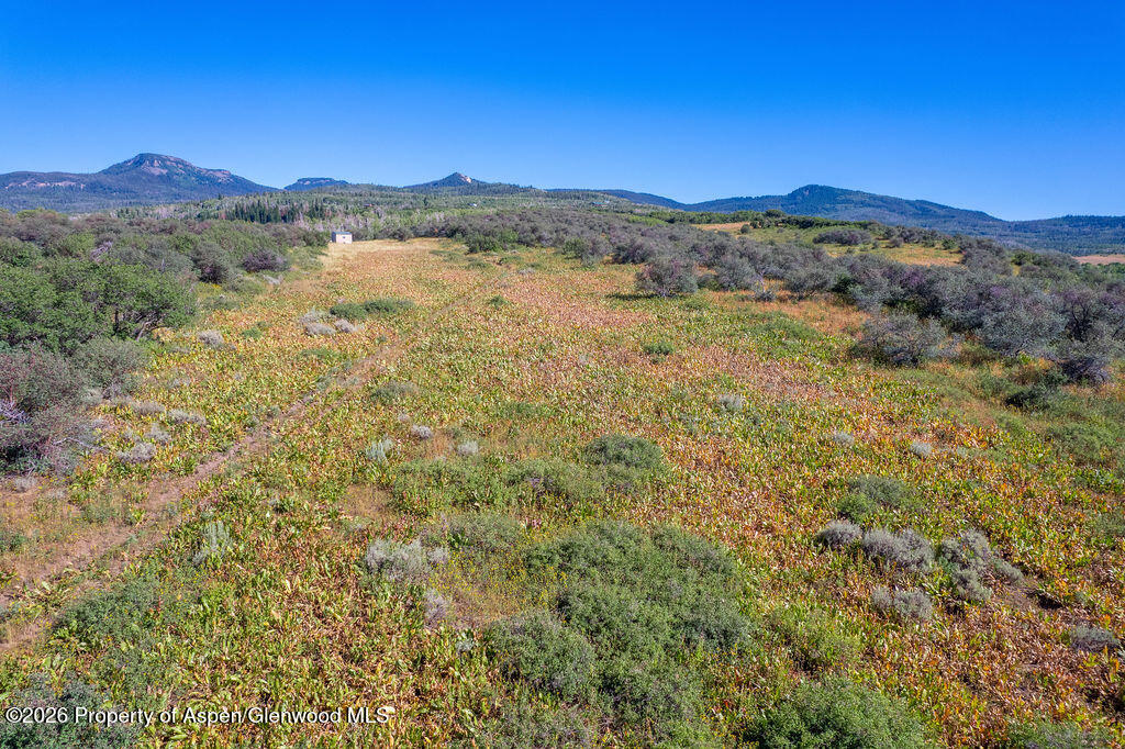 1750 Fiddleneck Drive Lot 44 Craig CO 81625