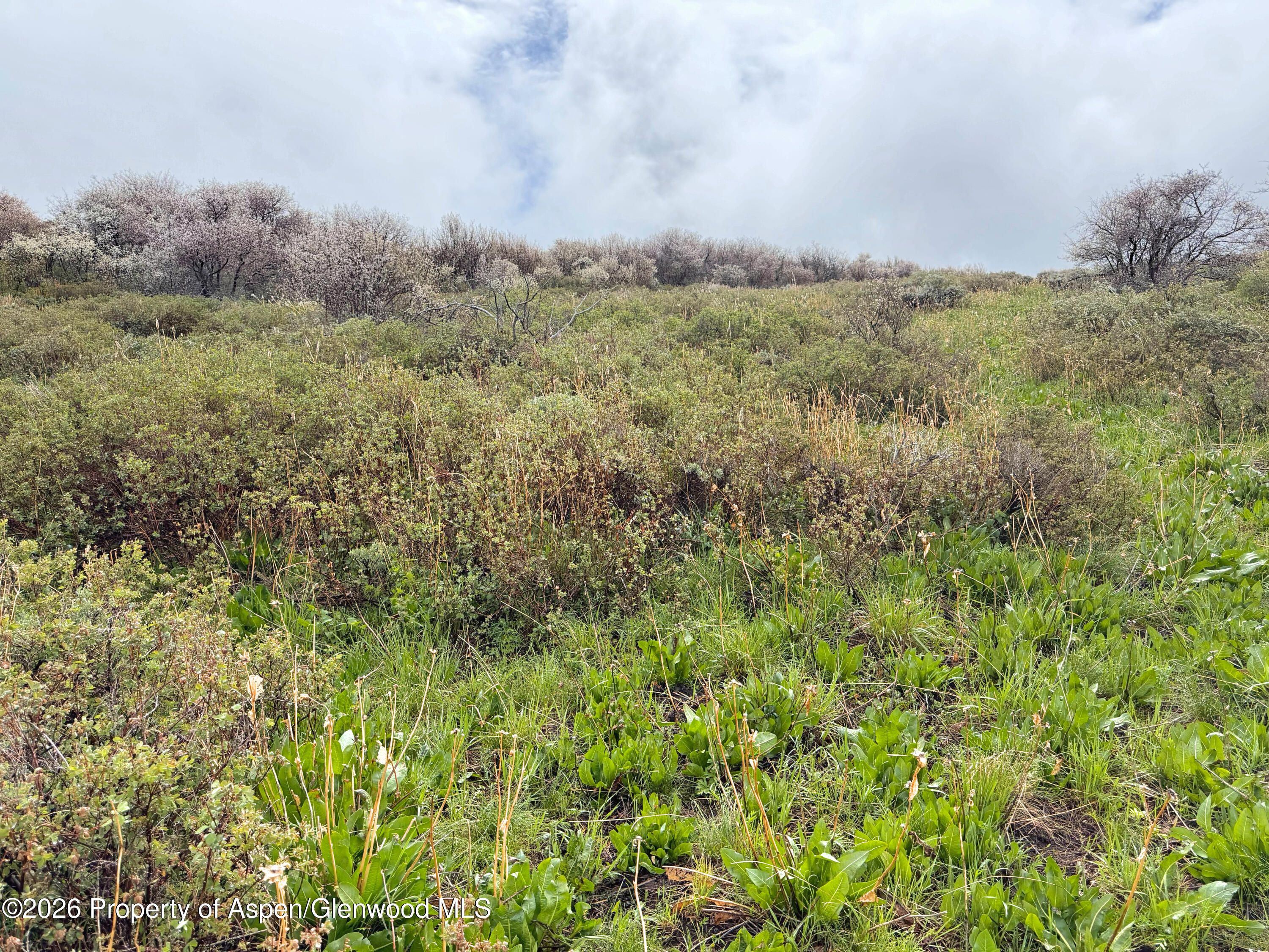 1750 Fiddleneck Drive Lot 44 Craig CO 81625