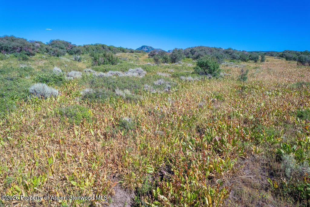 1750 Fiddleneck Drive Lot 44 Craig CO 81625