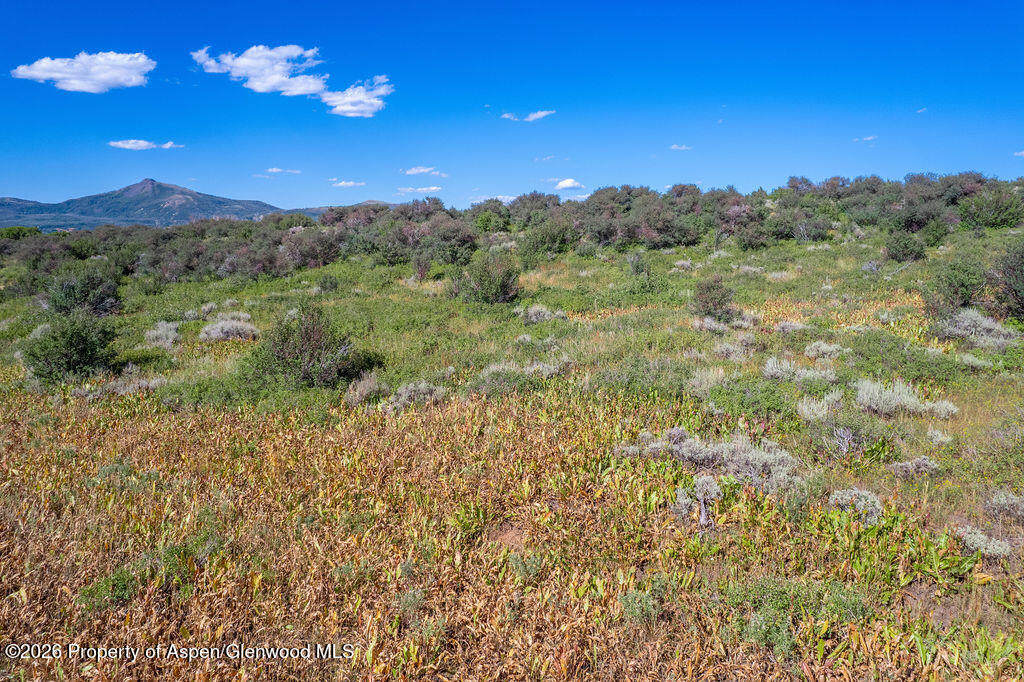 1750 Fiddleneck Drive Lot 44 Craig CO 81625