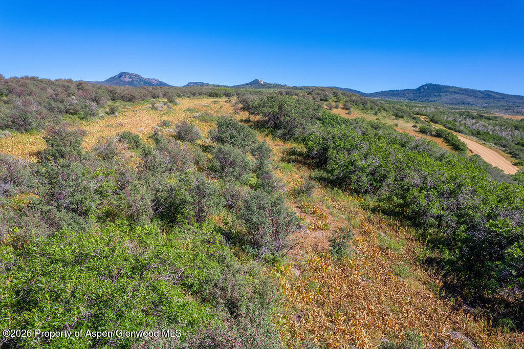 1750 Fiddleneck Drive Lot 44 Craig CO 81625