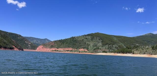 449 Mclaughlin Lane Basalt CO 81621