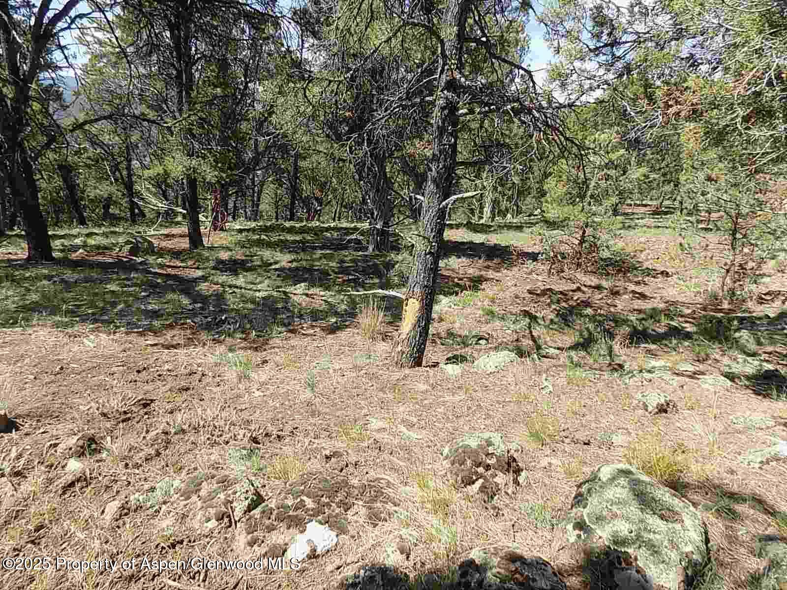 0021 Little Wood Lane Glenwood Springs CO 81601