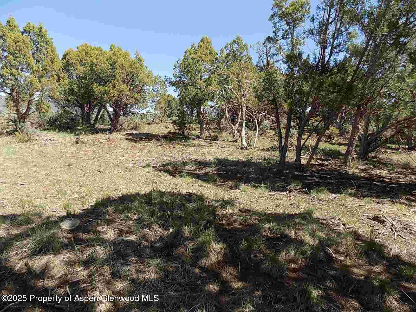 0021 Little Wood Lane Glenwood Springs CO 81601