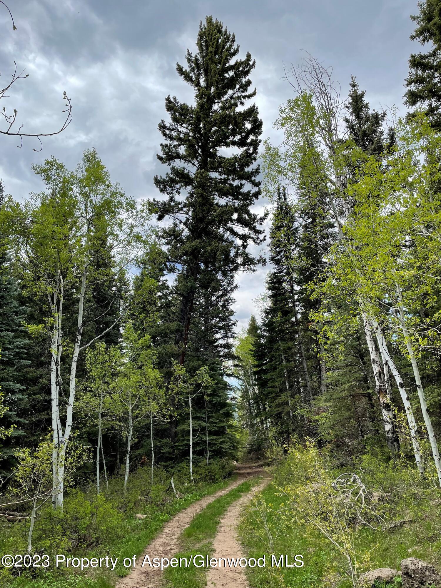 Tbd Black Diamond Mine Road Glenwood Springs CO 81601