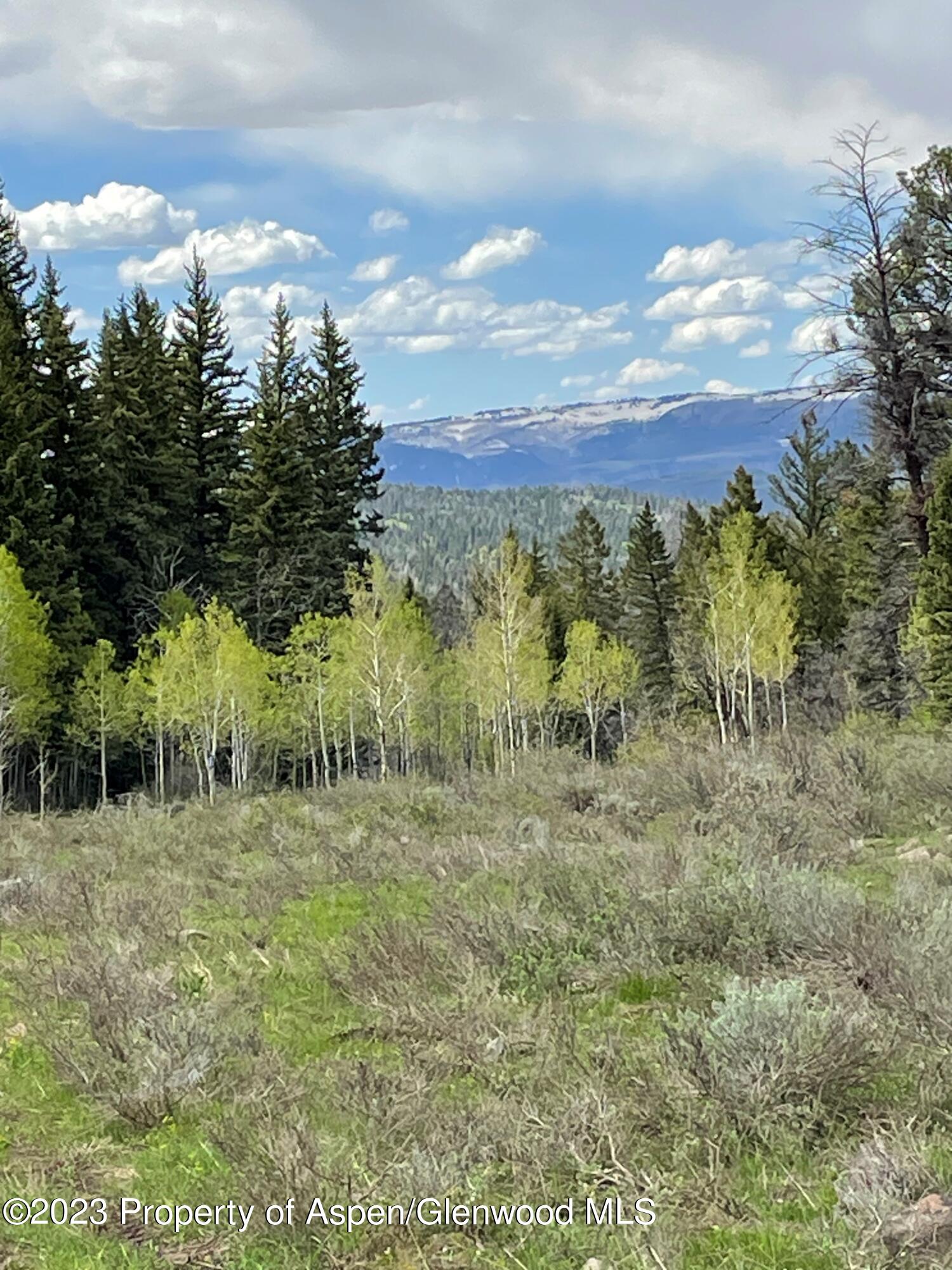 Tbd Black Diamond Mine Road Glenwood Springs CO 81601