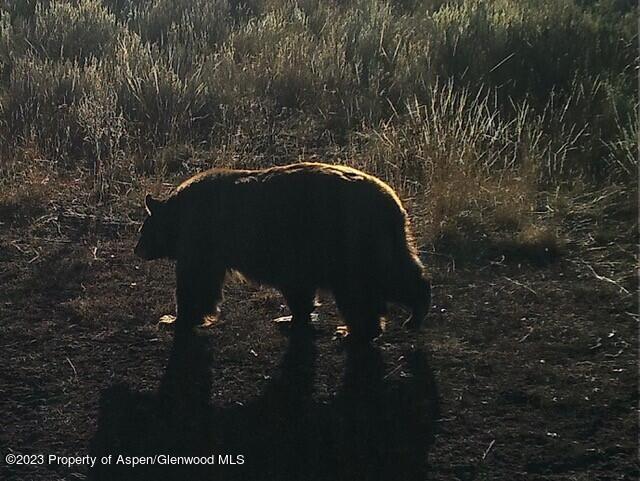 Tbd Black Diamond Mine Road Glenwood Springs CO 81601