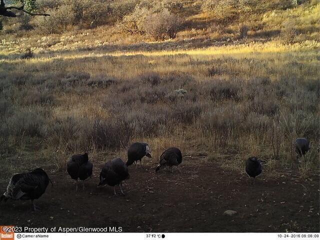 Tbd Black Diamond Mine Road Glenwood Springs CO 81601