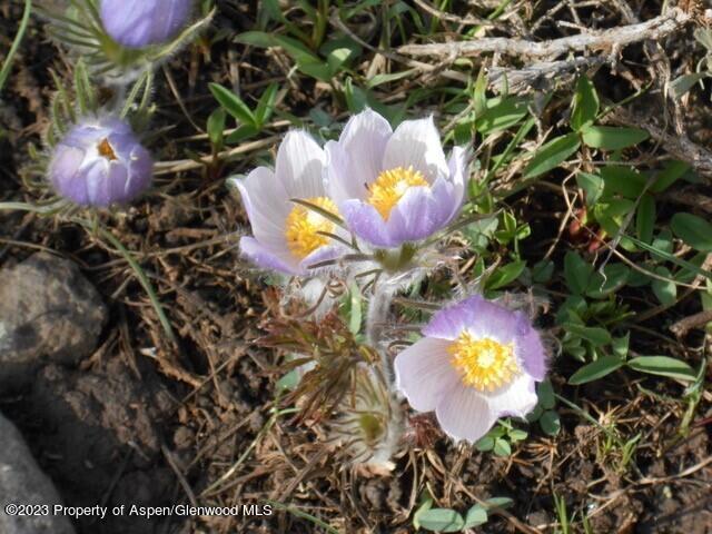 Tbd Black Diamond Mine Road Glenwood Springs CO 81601