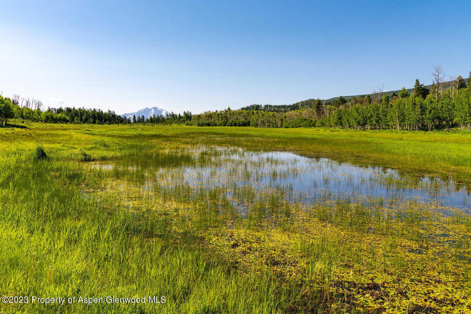 Tbd Black Diamond Mine Road Glenwood Springs CO 81601