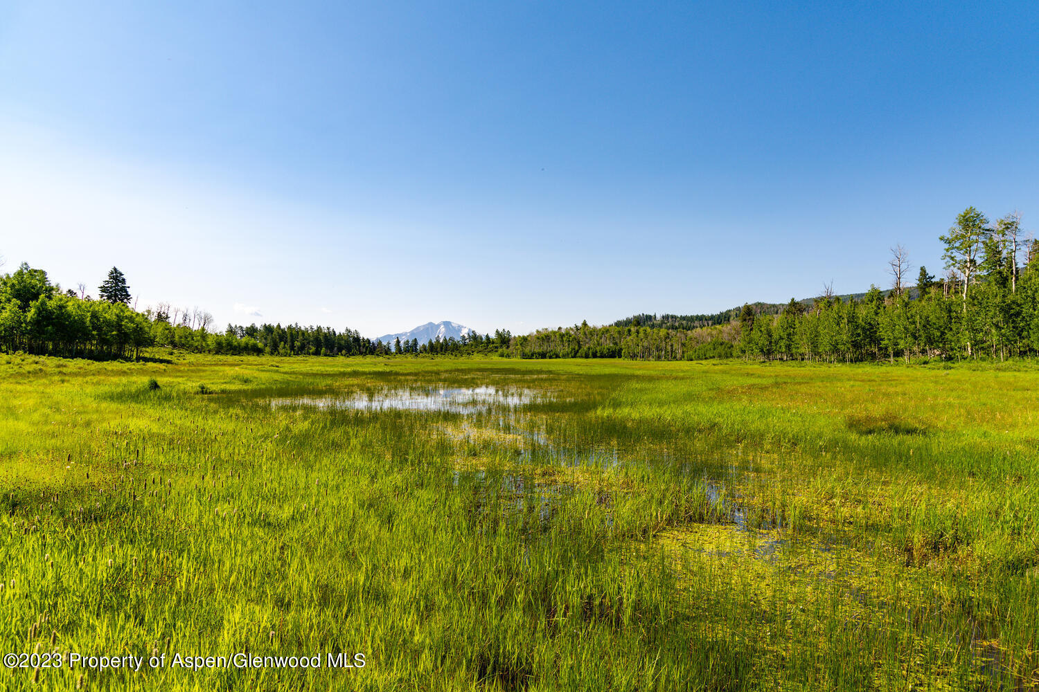 Tbd Black Diamond Mine Road Glenwood Springs CO 81601