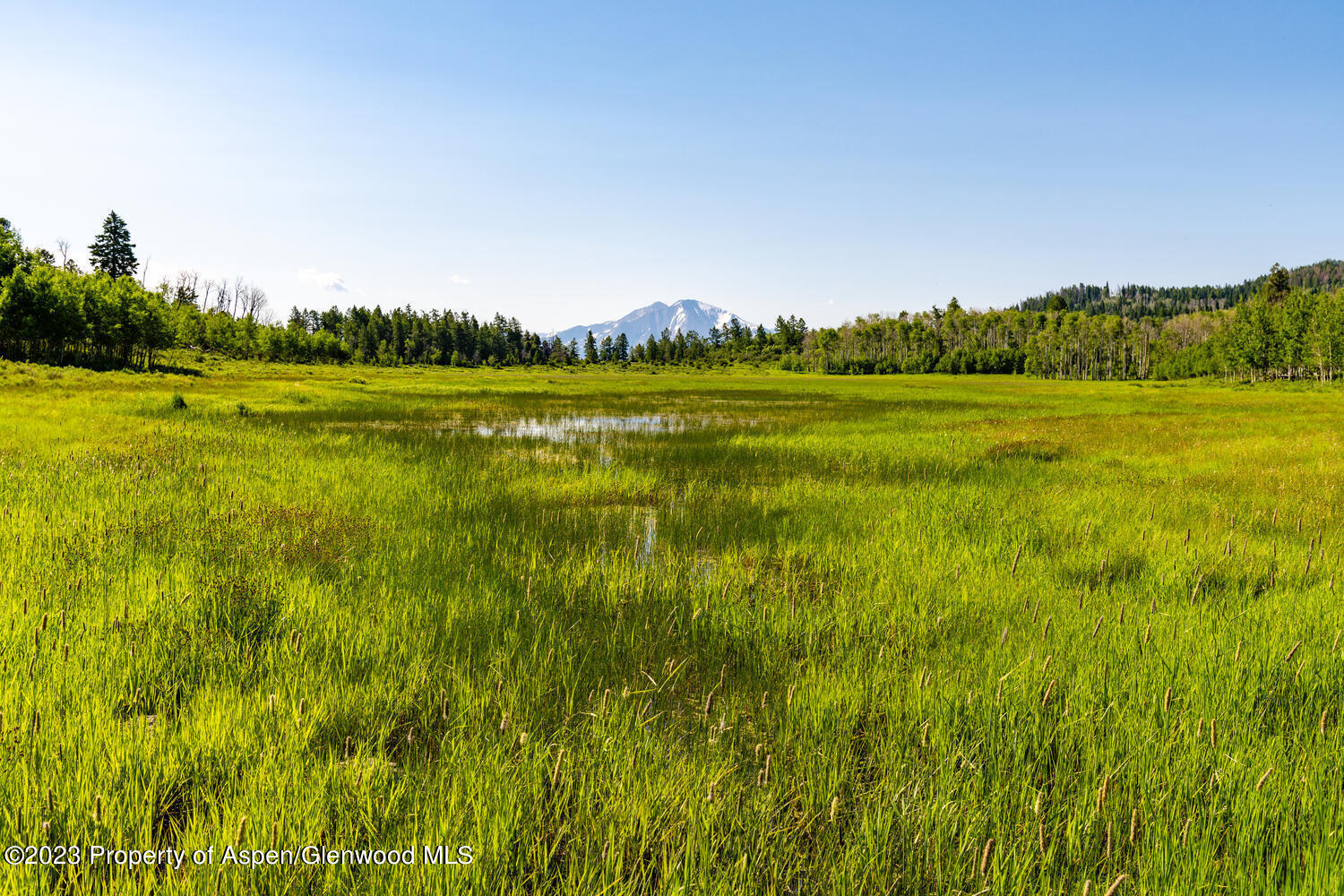 Tbd Black Diamond Mine Road Glenwood Springs CO 81601