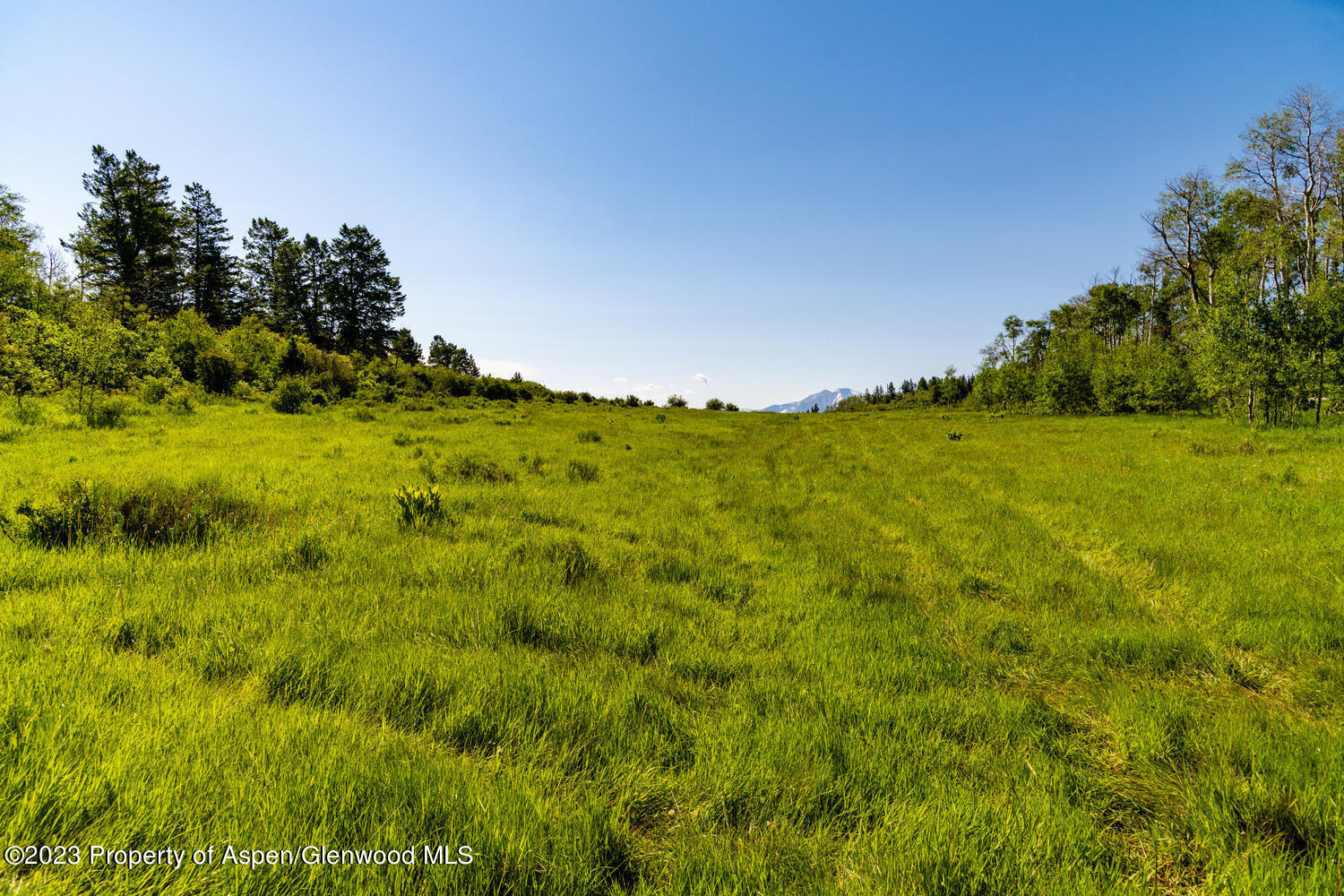 Tbd Black Diamond Mine Road Glenwood Springs CO 81601