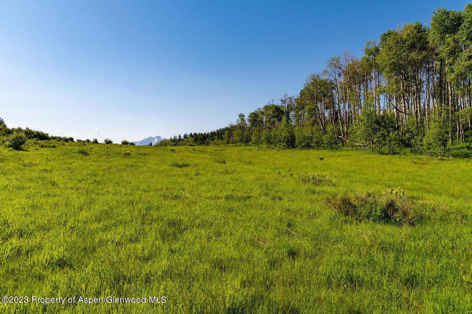 Tbd Black Diamond Mine Road Glenwood Springs CO 81601