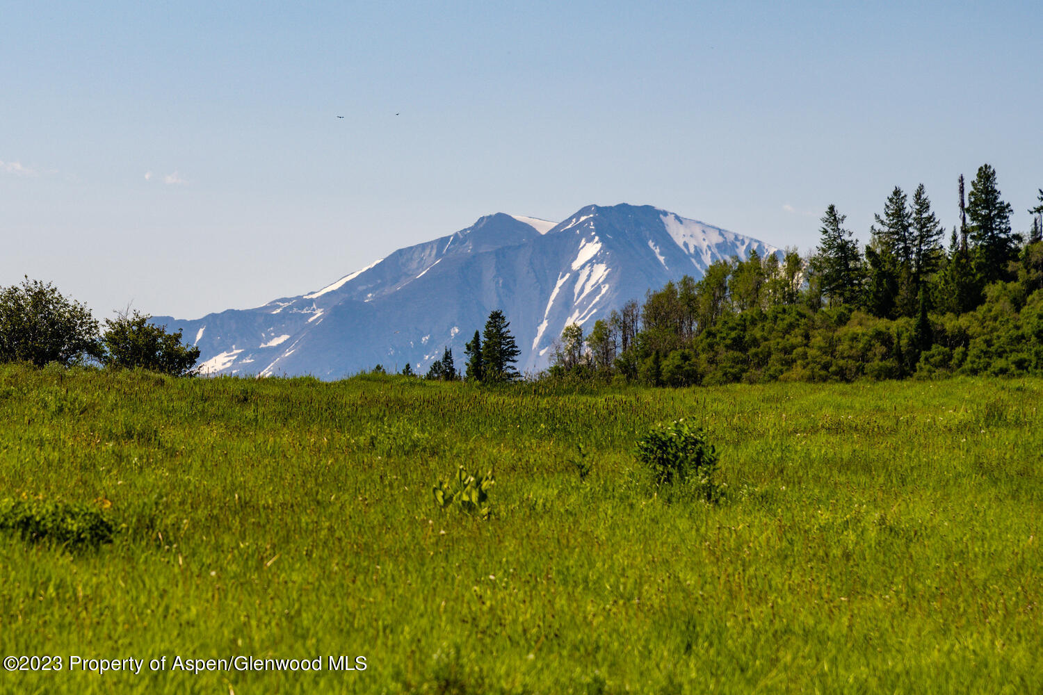 Tbd Black Diamond Mine Road Glenwood Springs CO 81601