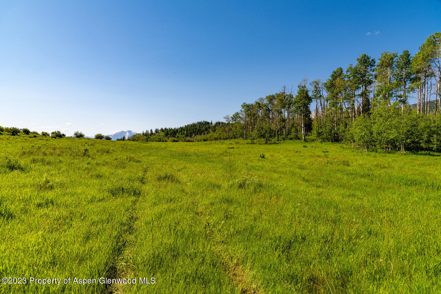 Tbd Black Diamond Mine Road Glenwood Springs CO 81601