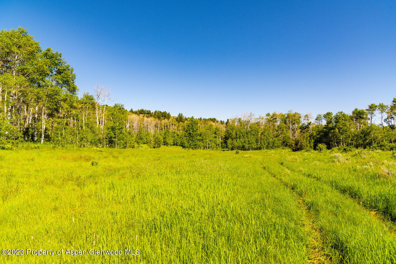 Tbd Black Diamond Mine Road Glenwood Springs CO 81601