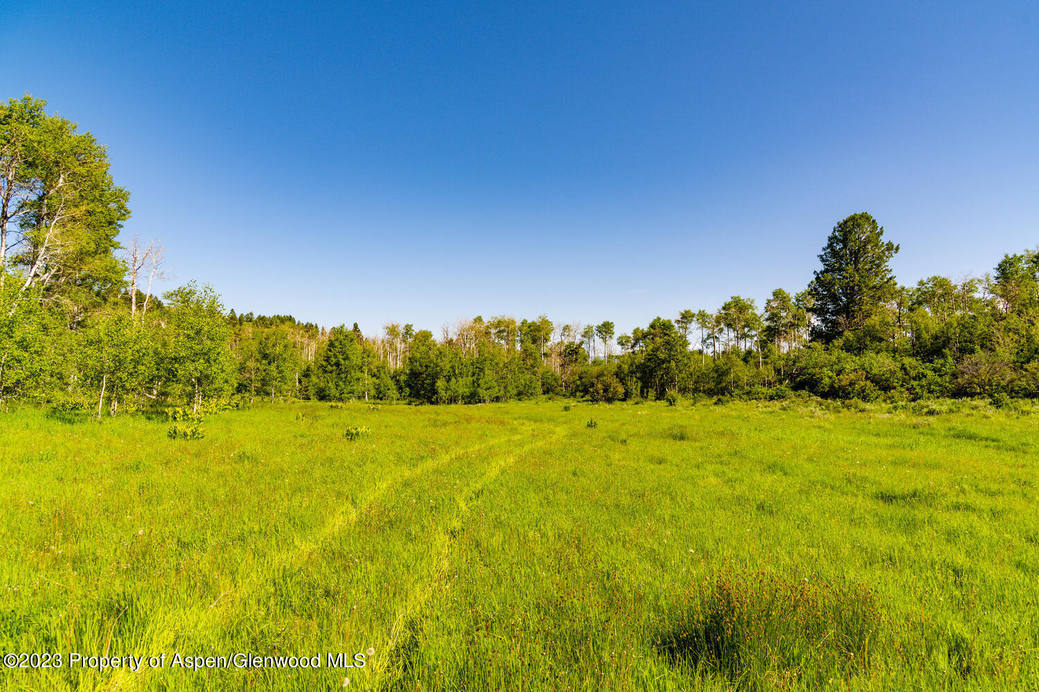 Tbd Black Diamond Mine Road Glenwood Springs CO 81601