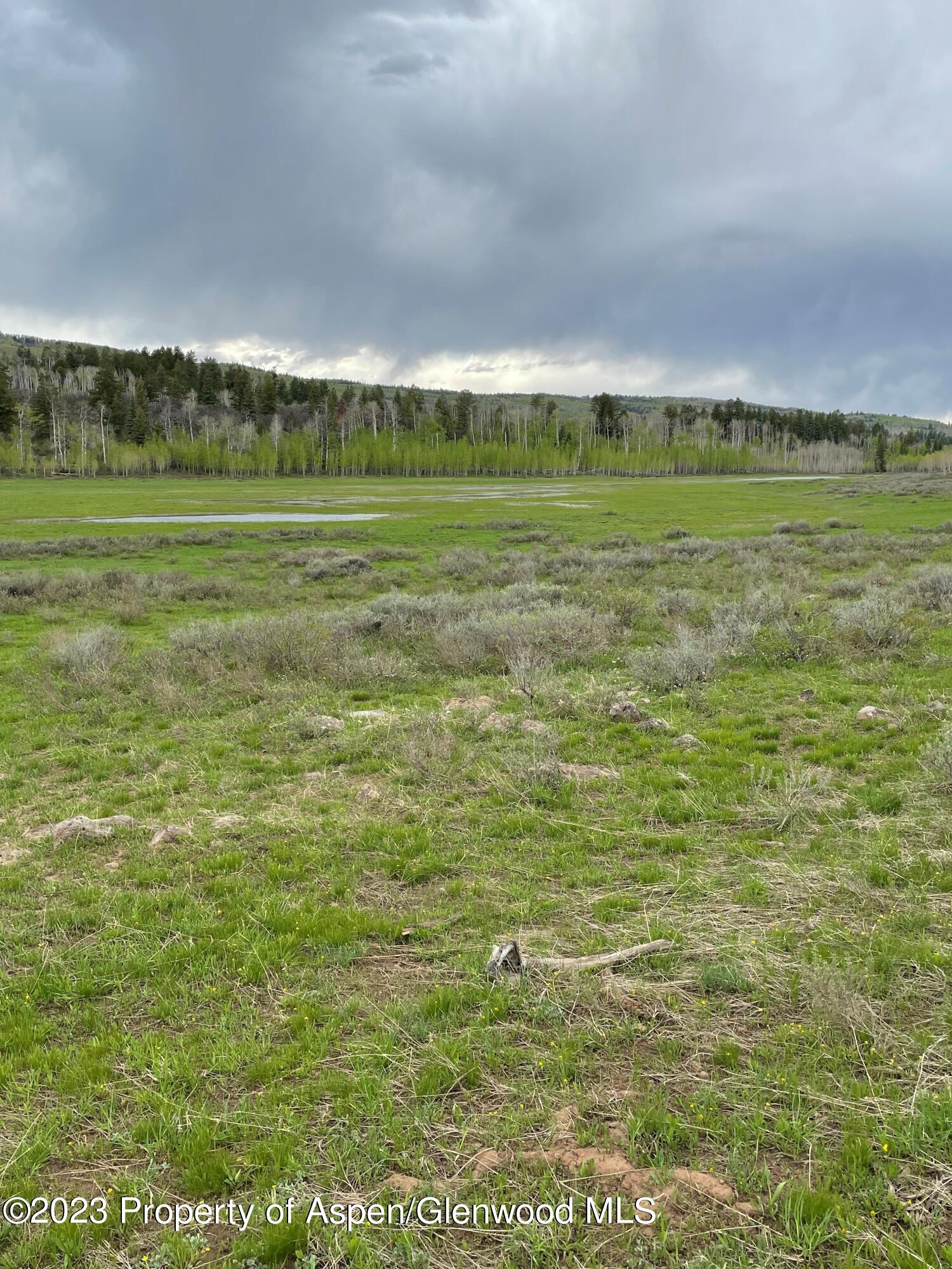 Tbd Black Diamond Mine Road Glenwood Springs CO 81601