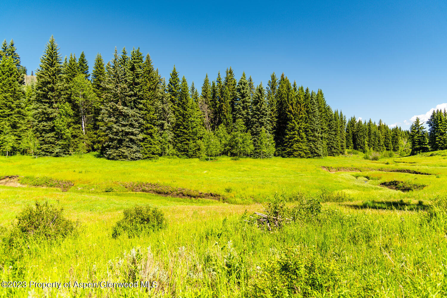 Tbd Black Diamond Mine Road Glenwood Springs CO 81601