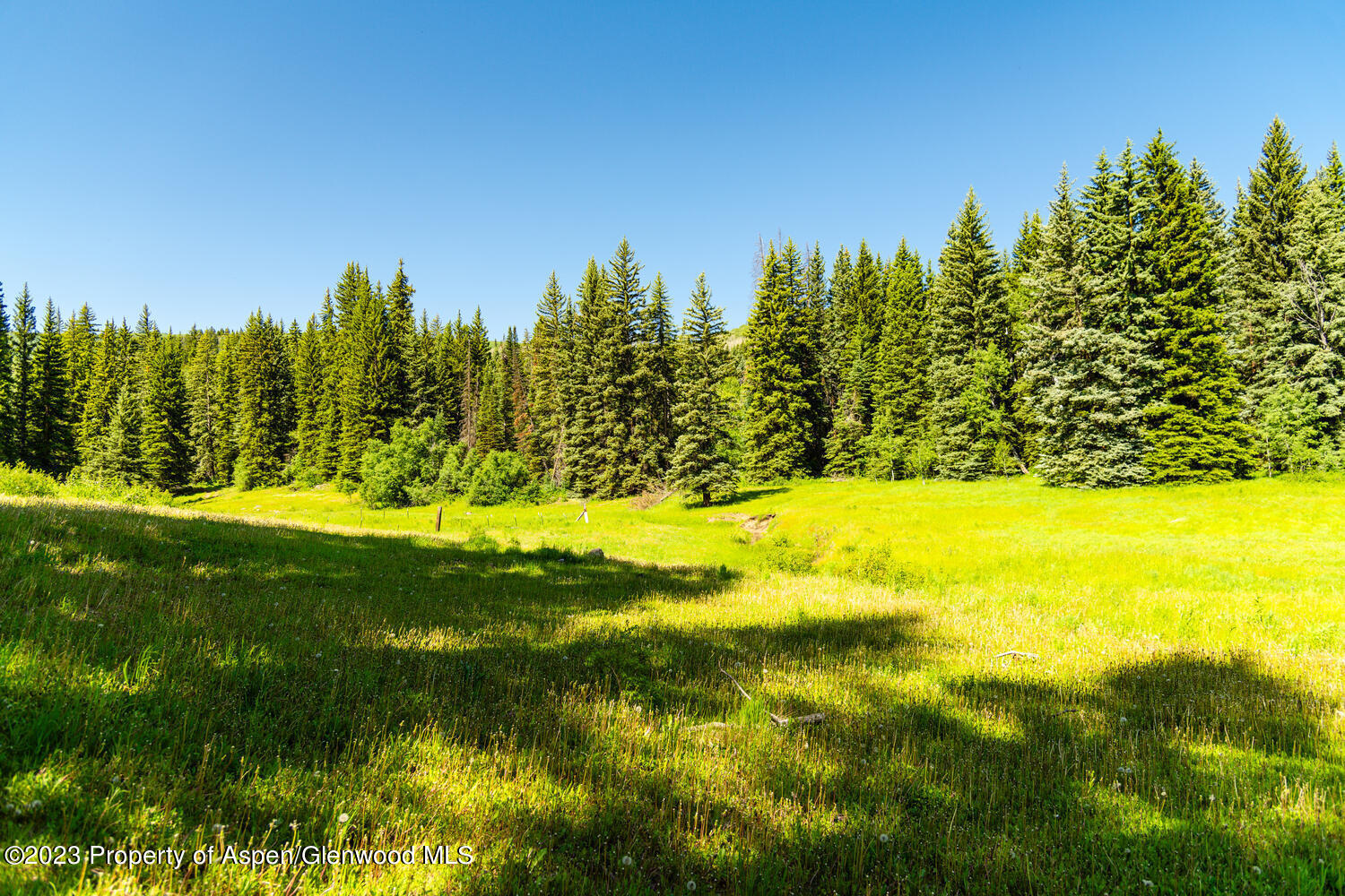 Tbd Black Diamond Mine Road Glenwood Springs CO 81601